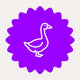 GANS