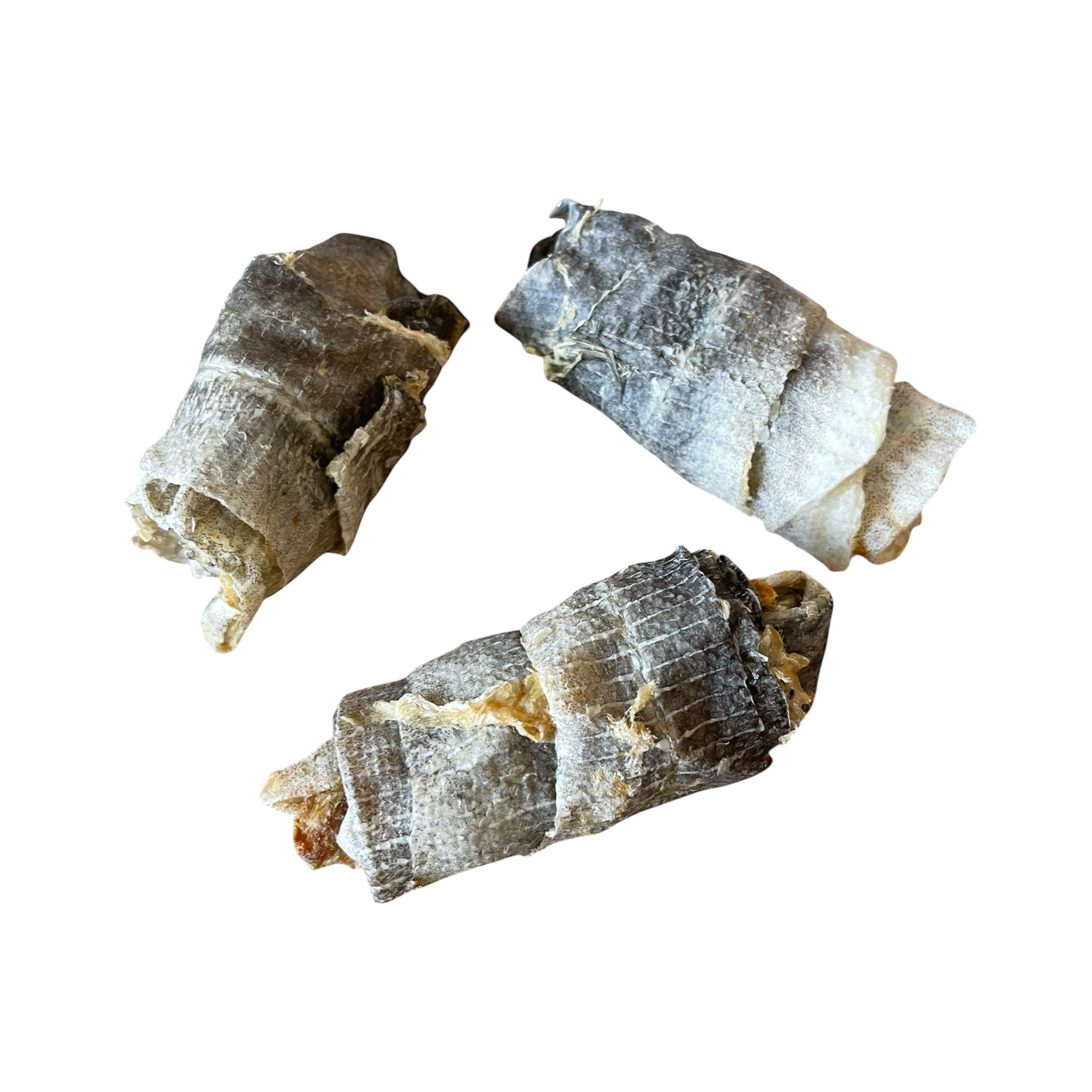 Dorsch-Haut-Rolle