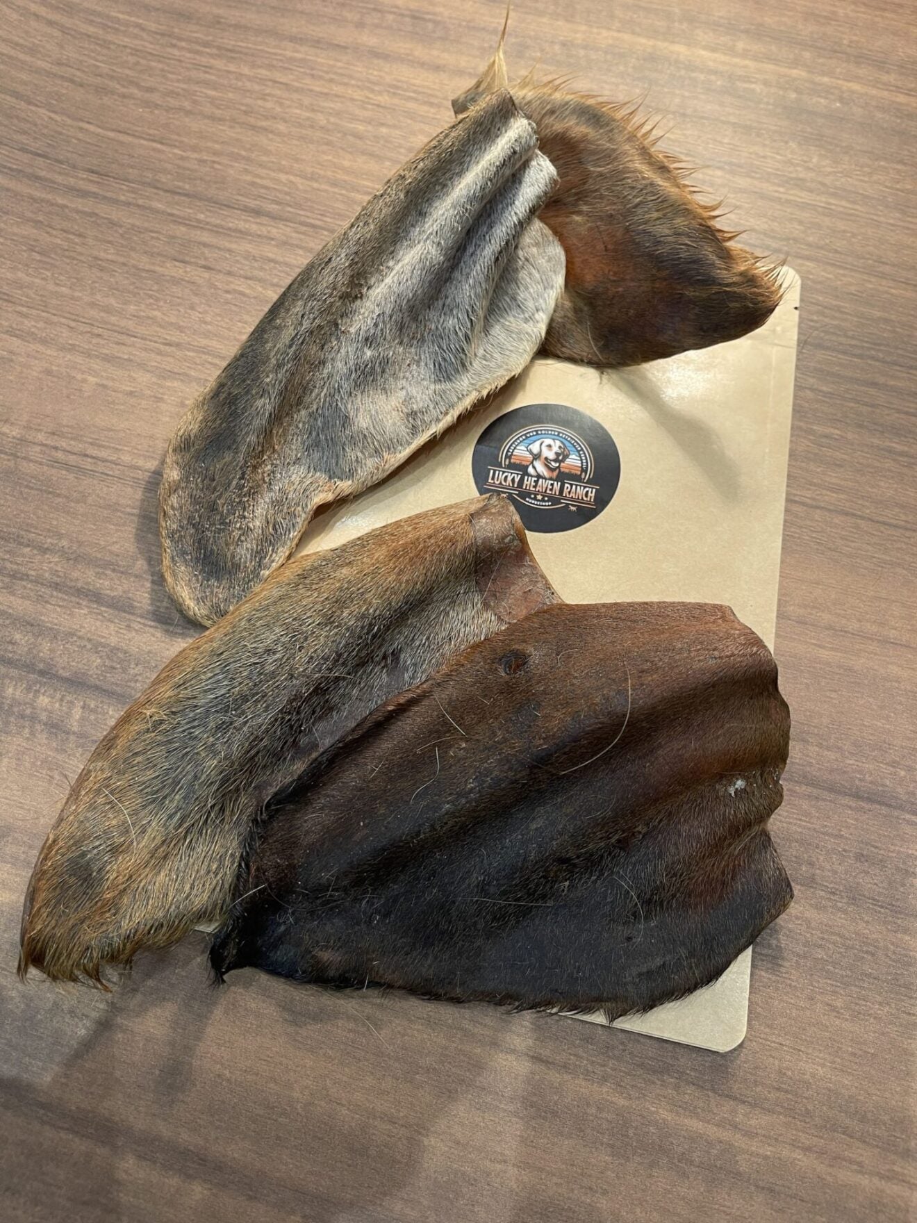 Büffel Ohr mit Fell L