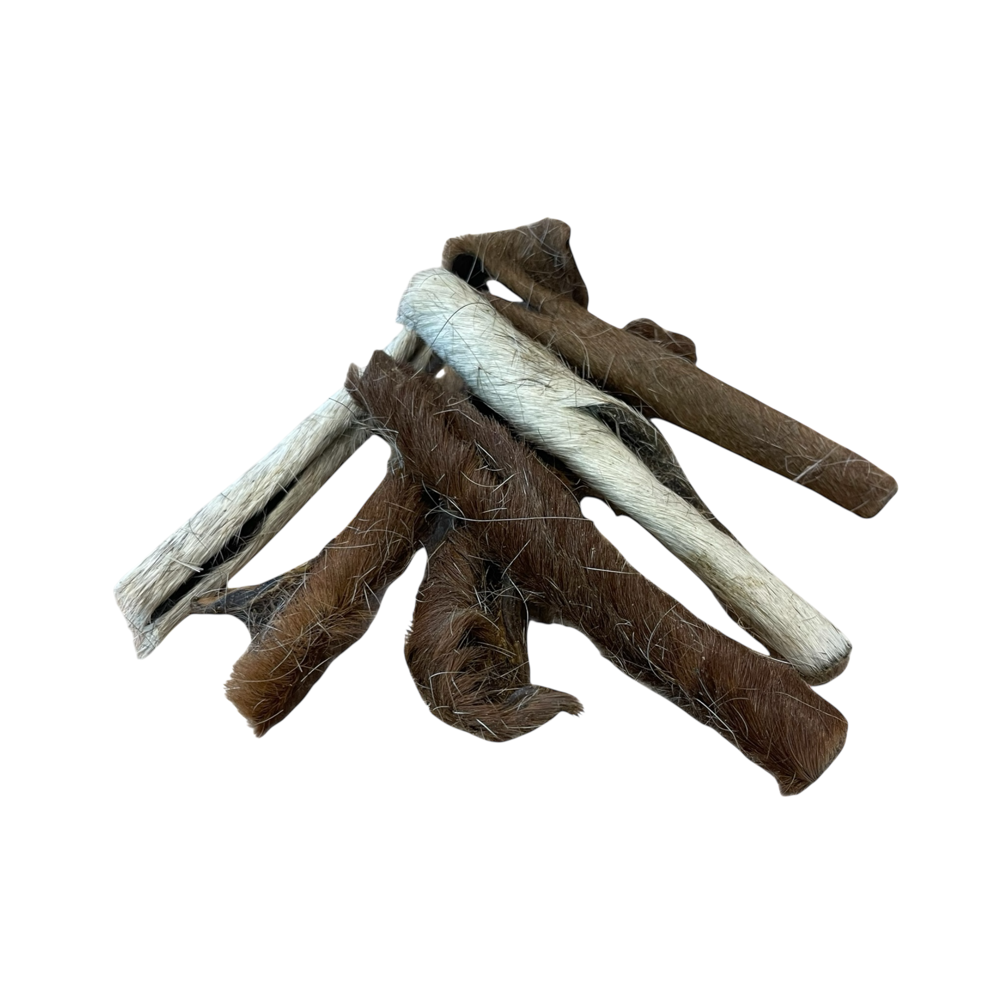 Pferde Haut mit Fell