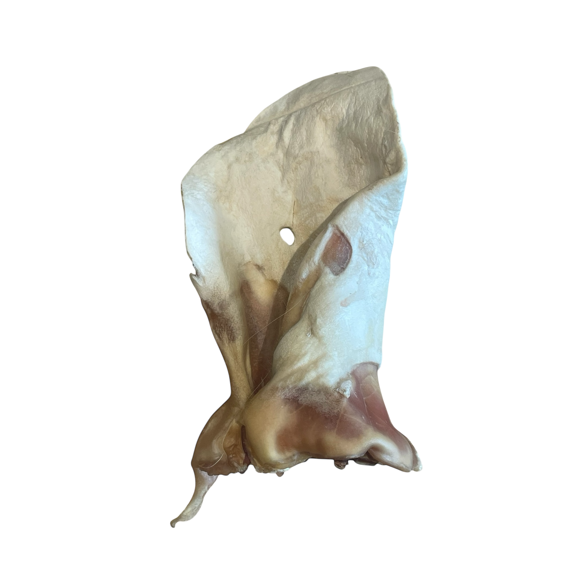 Rinder Ohren ohne Fell XXL