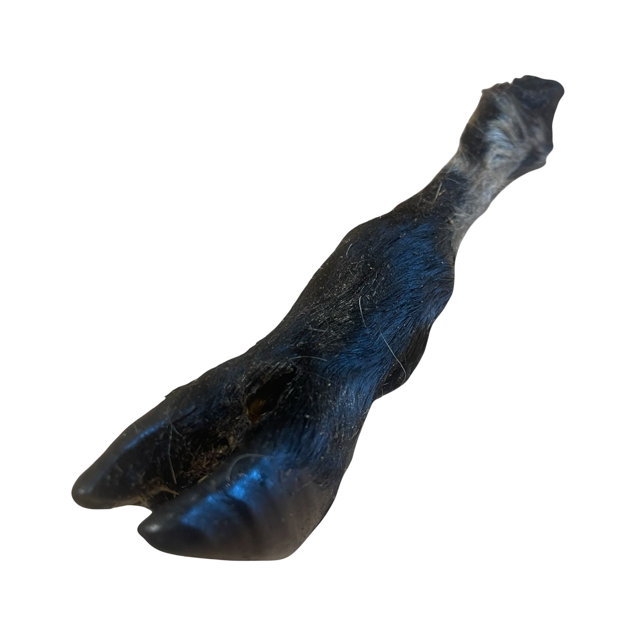 Ziegen Füße mit Fell