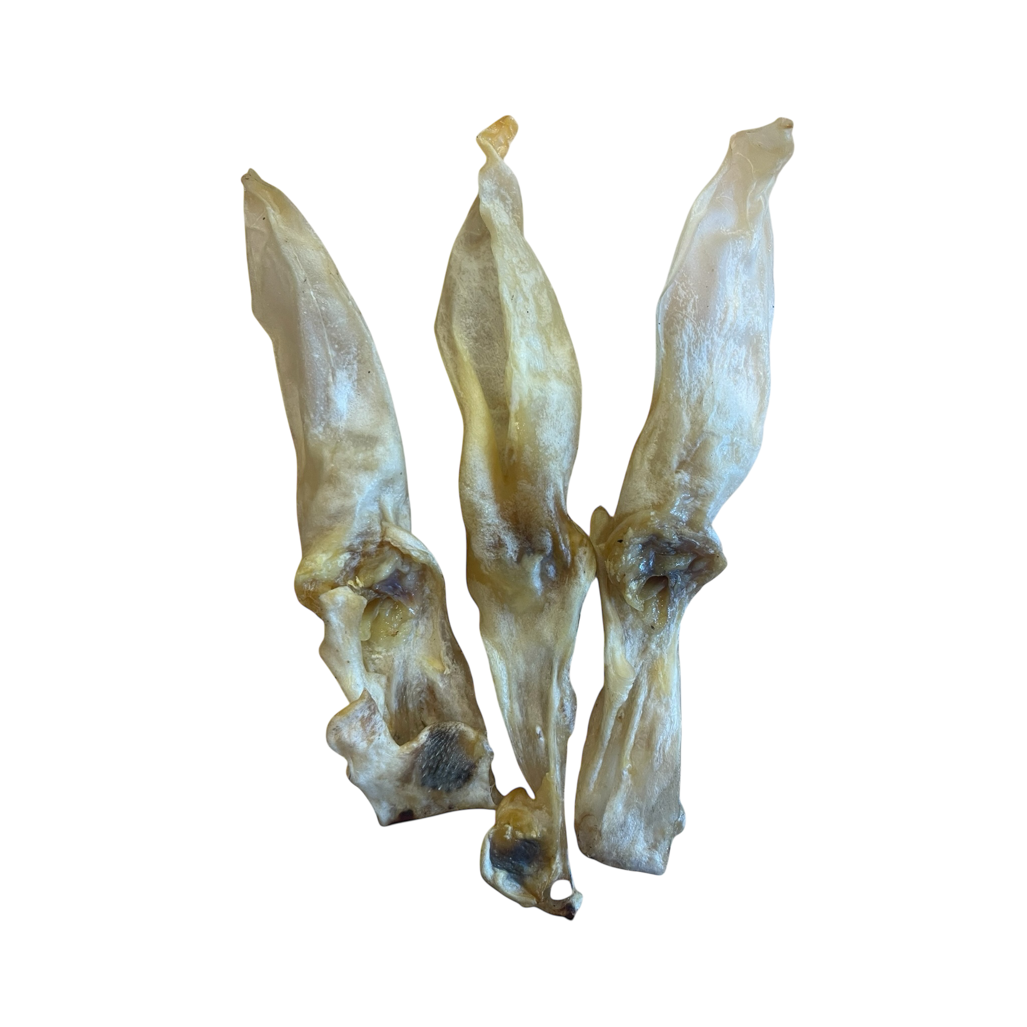 Kaninchen Ohren ohne Fell Premium groß