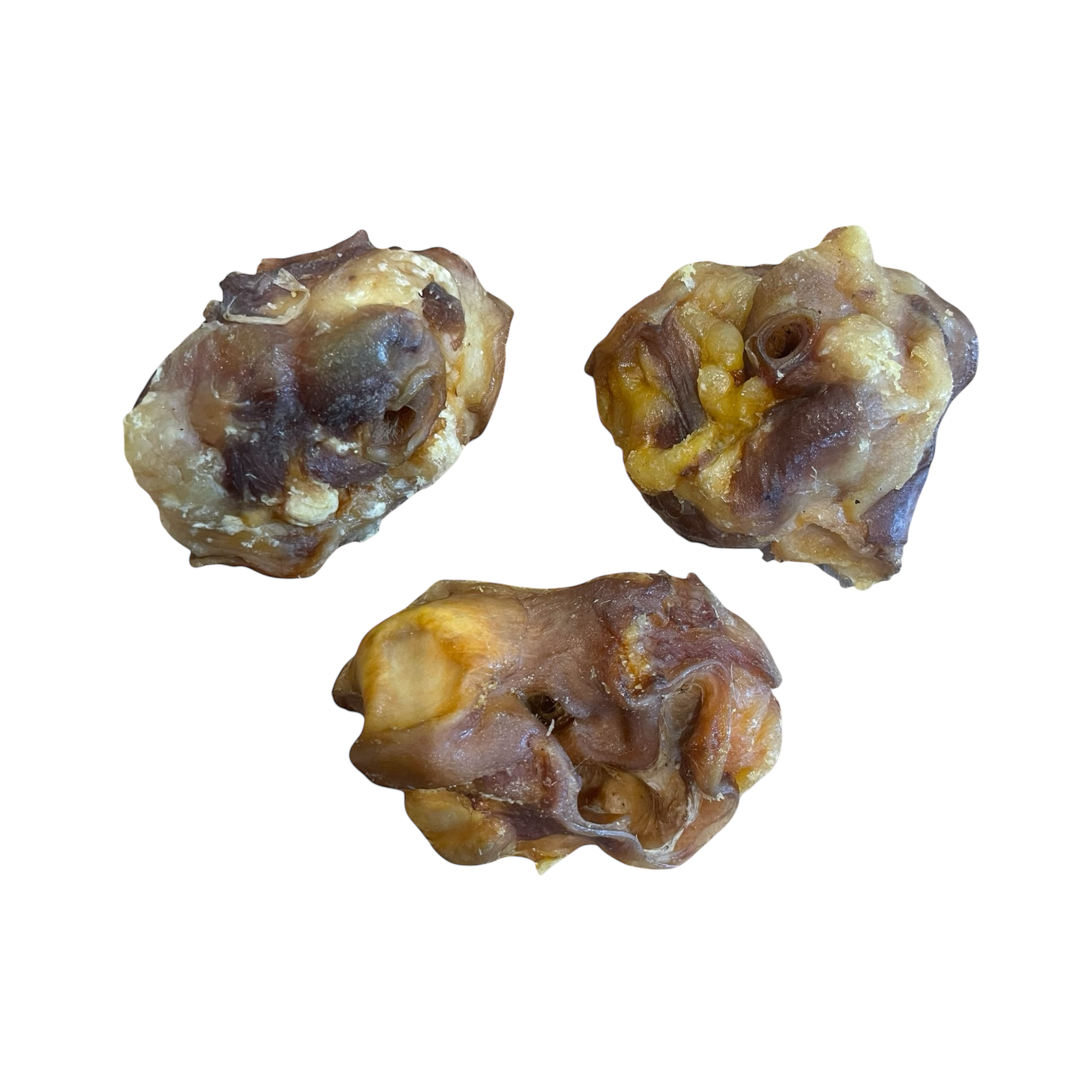 Schweine Ohr Muscheln