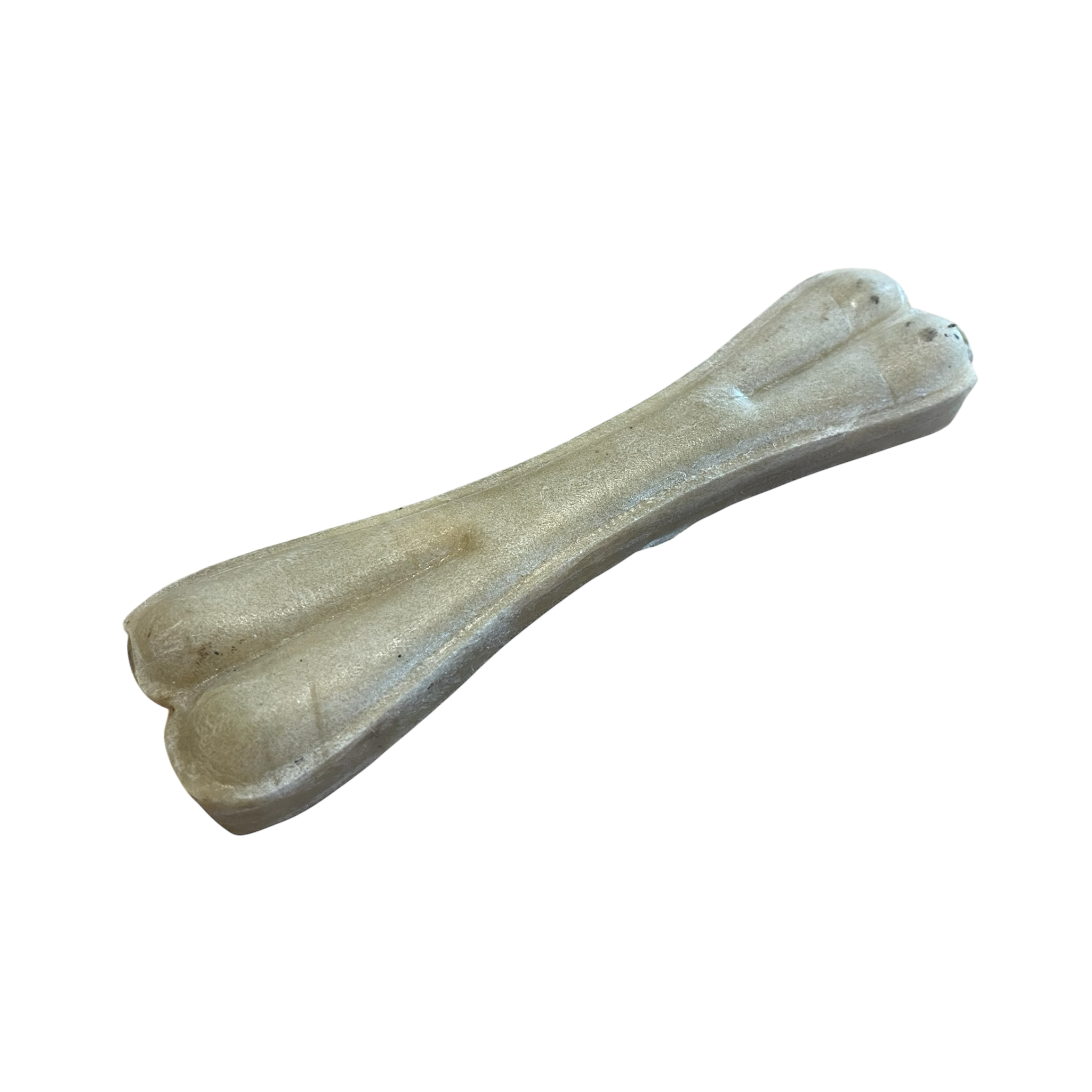 Büffel Haut Knochen