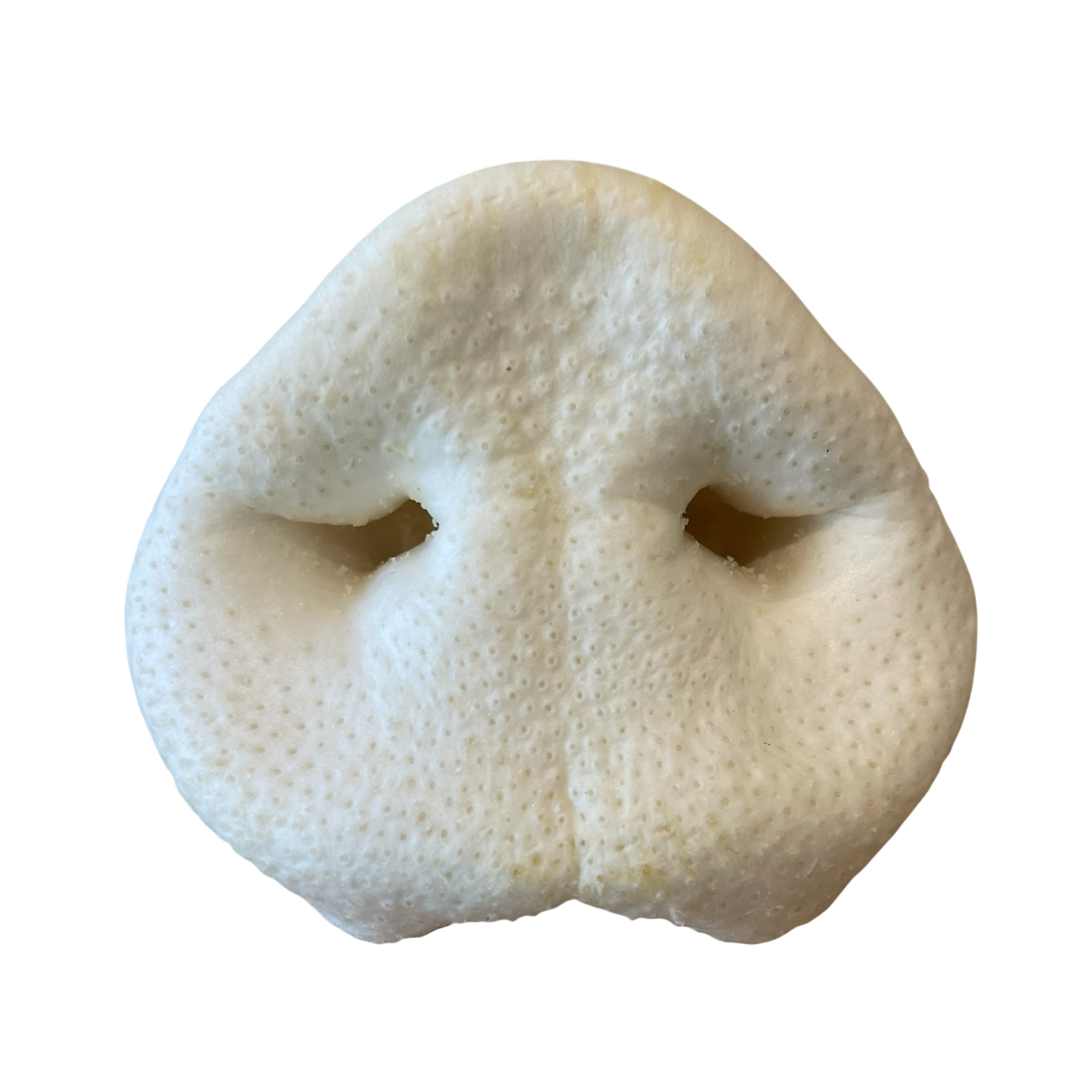 Schweine Nase Weiß XL gepufft