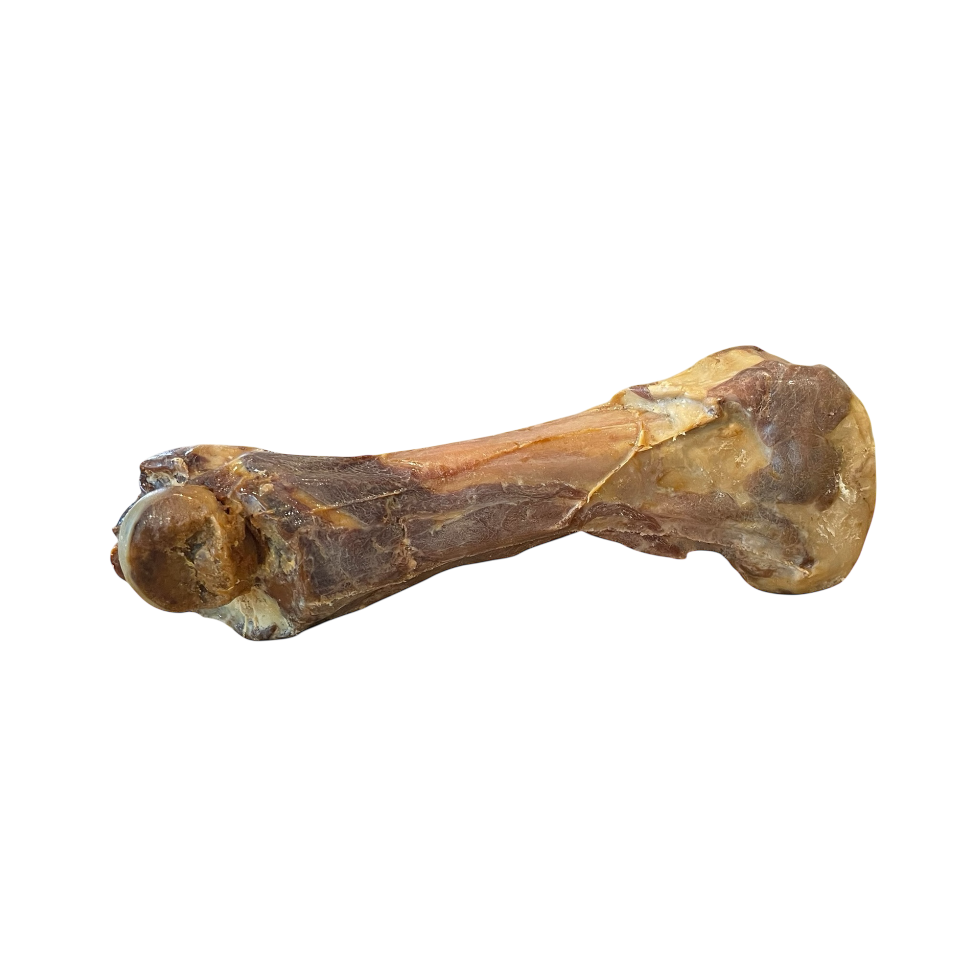 Schinkenknochen aus Pharma XL