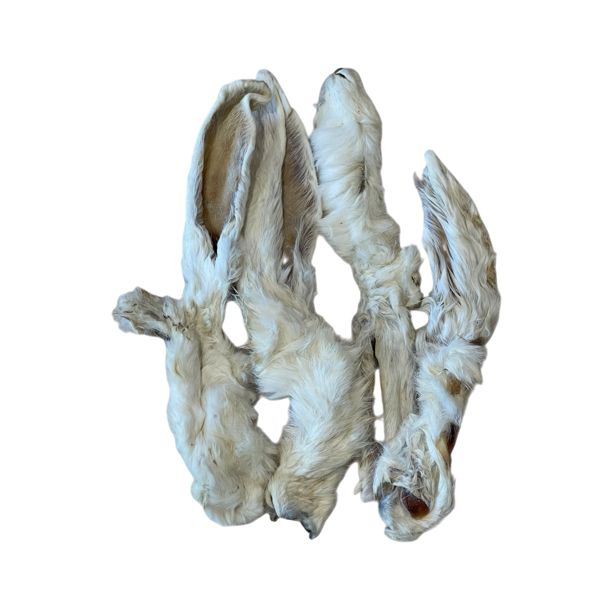 Kaninchen Ohren mit Fell