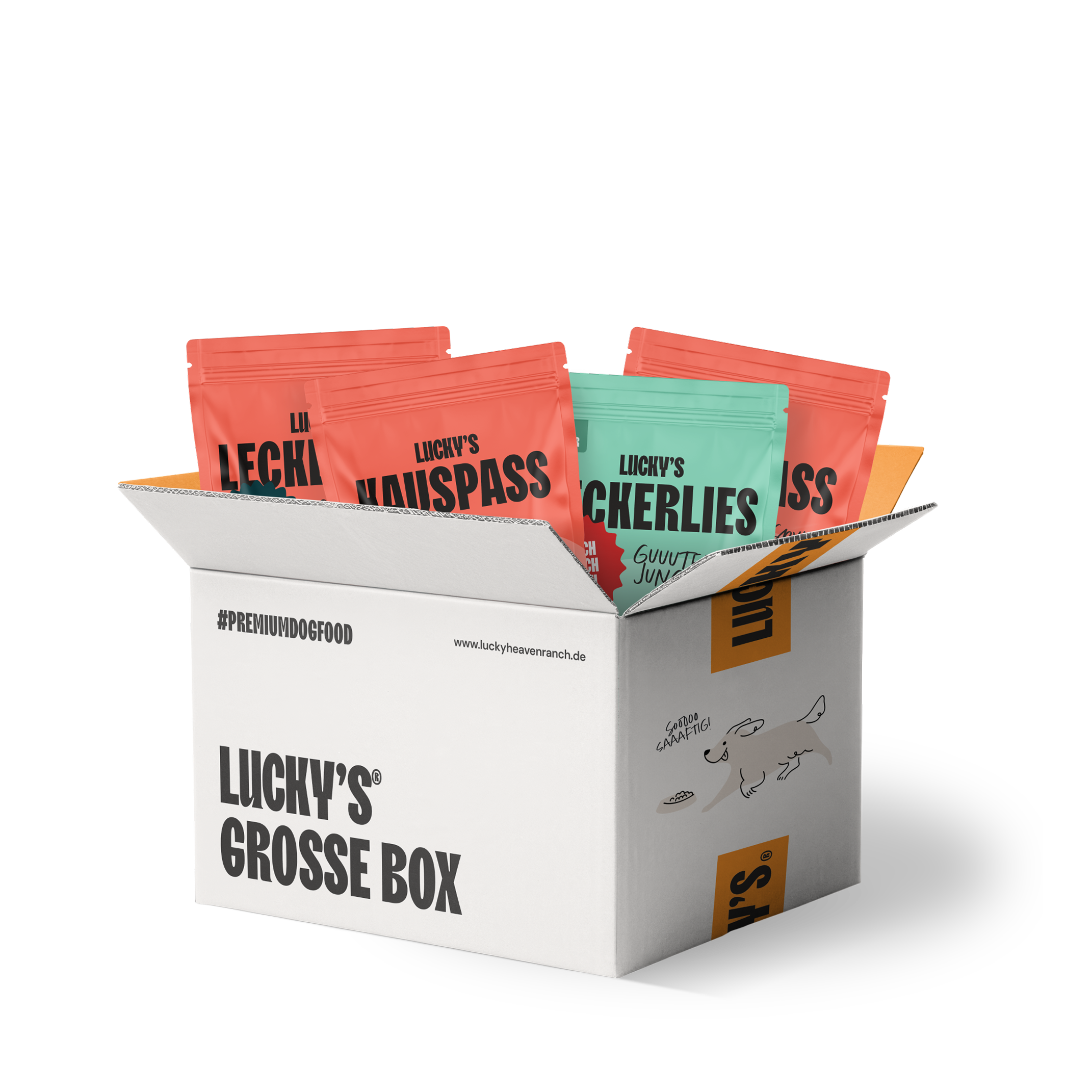 Große-Hunde-Box