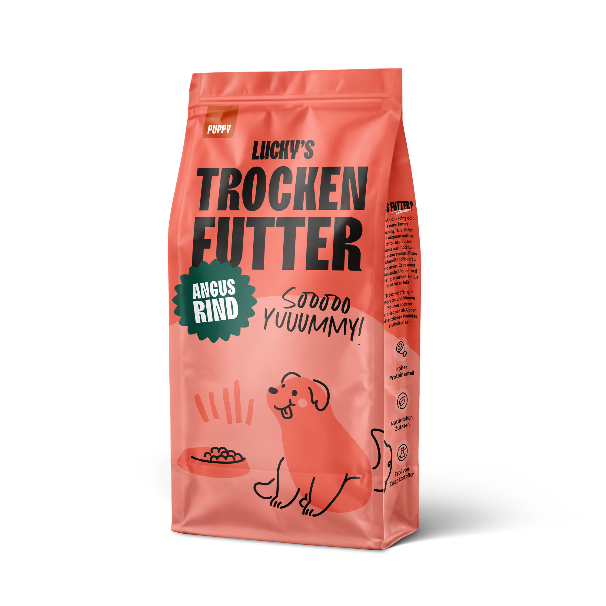 Angus Rind mit Karotte, grünen Bohnen, Blumenkohl, Tomate & Zucchini Welpen