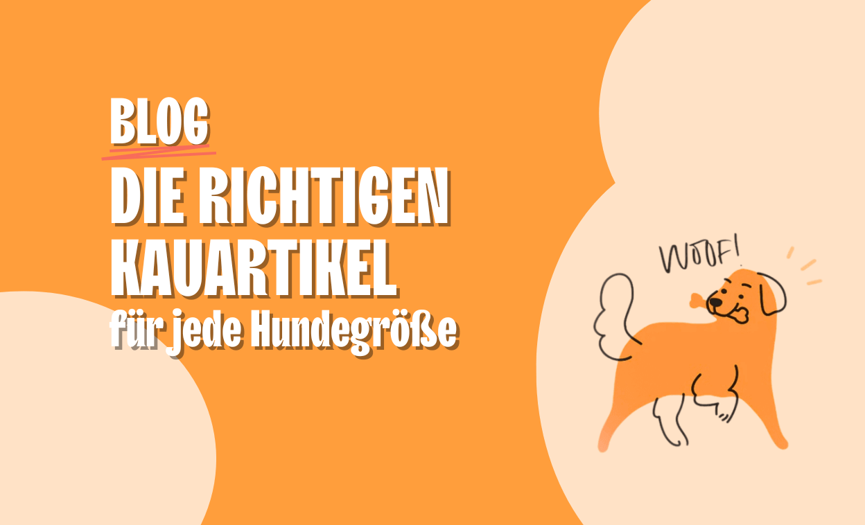 Die richtigen Kauartikel für jede Hundegröße – so findest du den perfekten Snack!