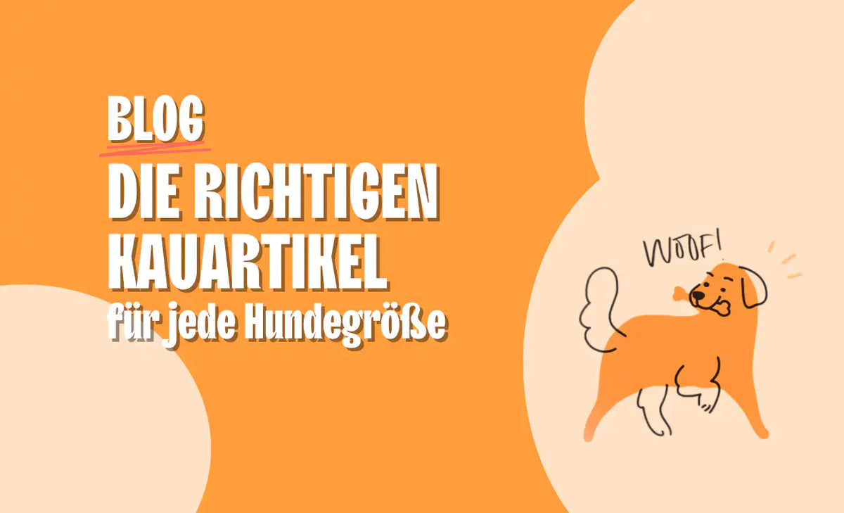 Die richtigen Kauartikel für jede Hundegröße – so findest du den perfekten Snack!