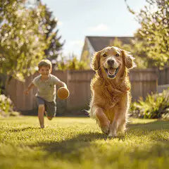 Willkommen bei Lucky Heaven Ranch, unserer Hunde Zucht - glücklicher Golden Retriever mit Kind im Garten.