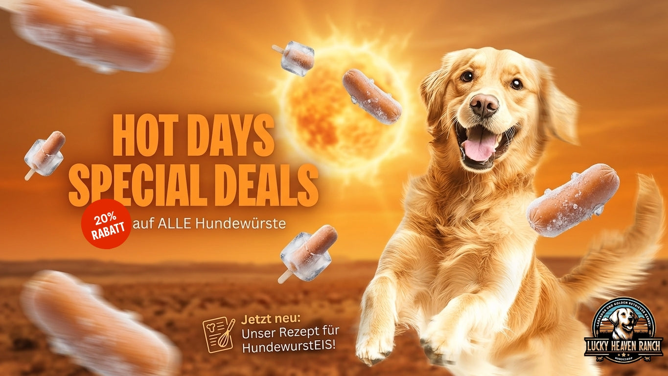 DIY Hundewurst-Eis für Hunde – die perfekte Abkühlung im Sommer