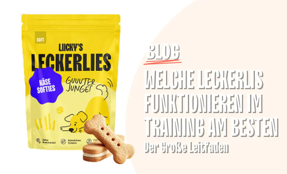 Licky's Leckerlis in gelber Verpackung für Hundetraining - Welche Leckerlis funktionieren im Training am besten?