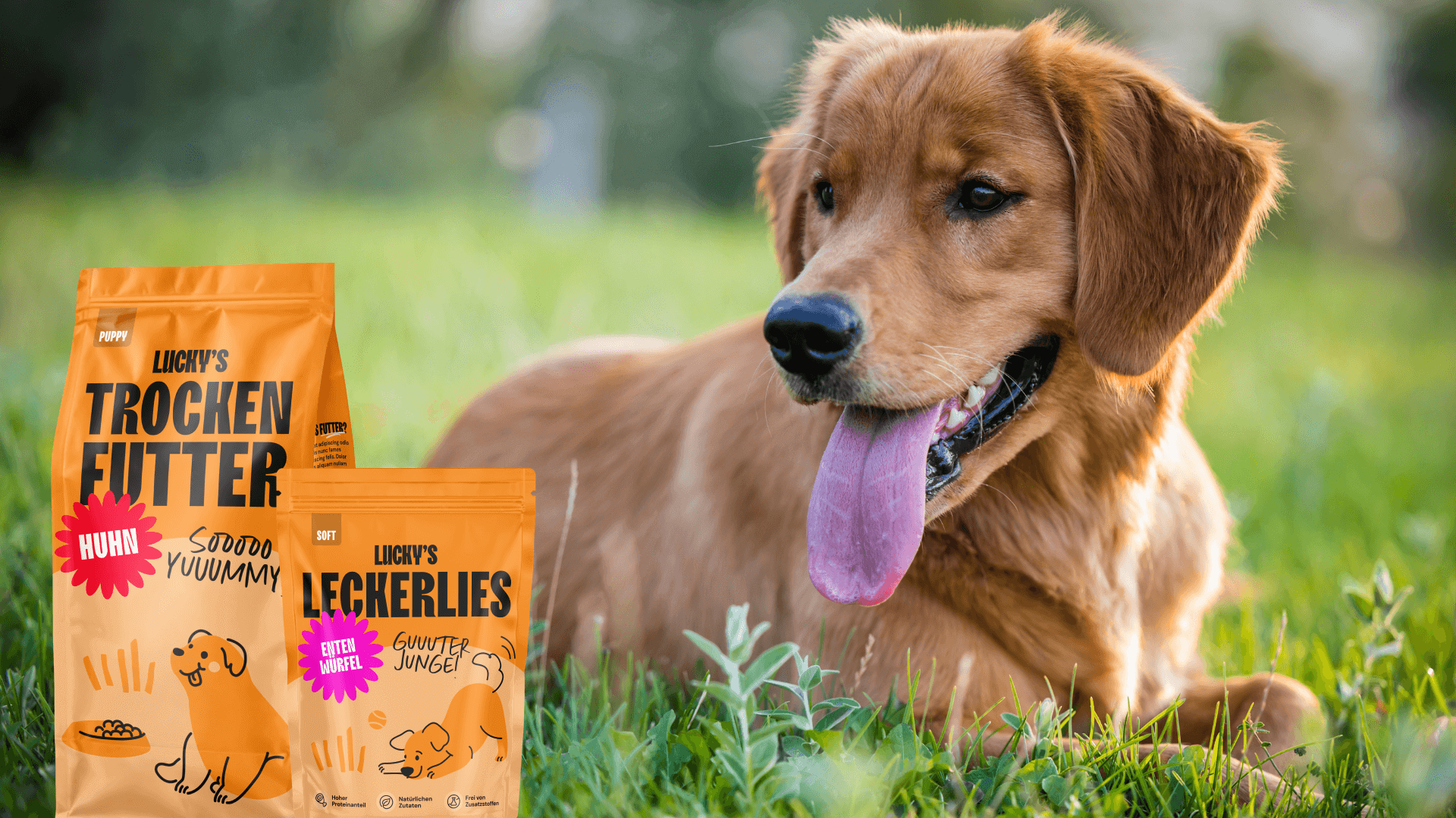 Welpenfutter für Golden Retriever 