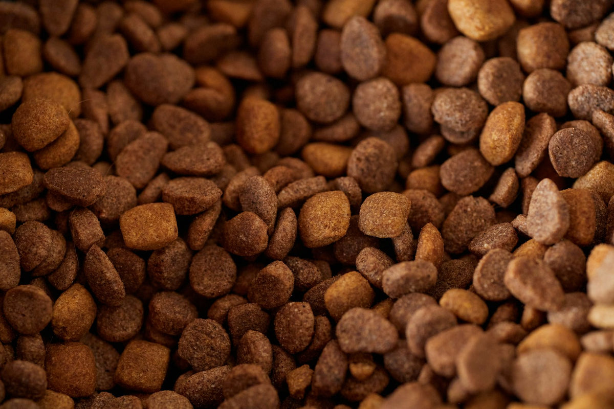 Getreidefreies Trockenfutter für Hunde – Nahaufnahme von Hundefutter-Kroketten