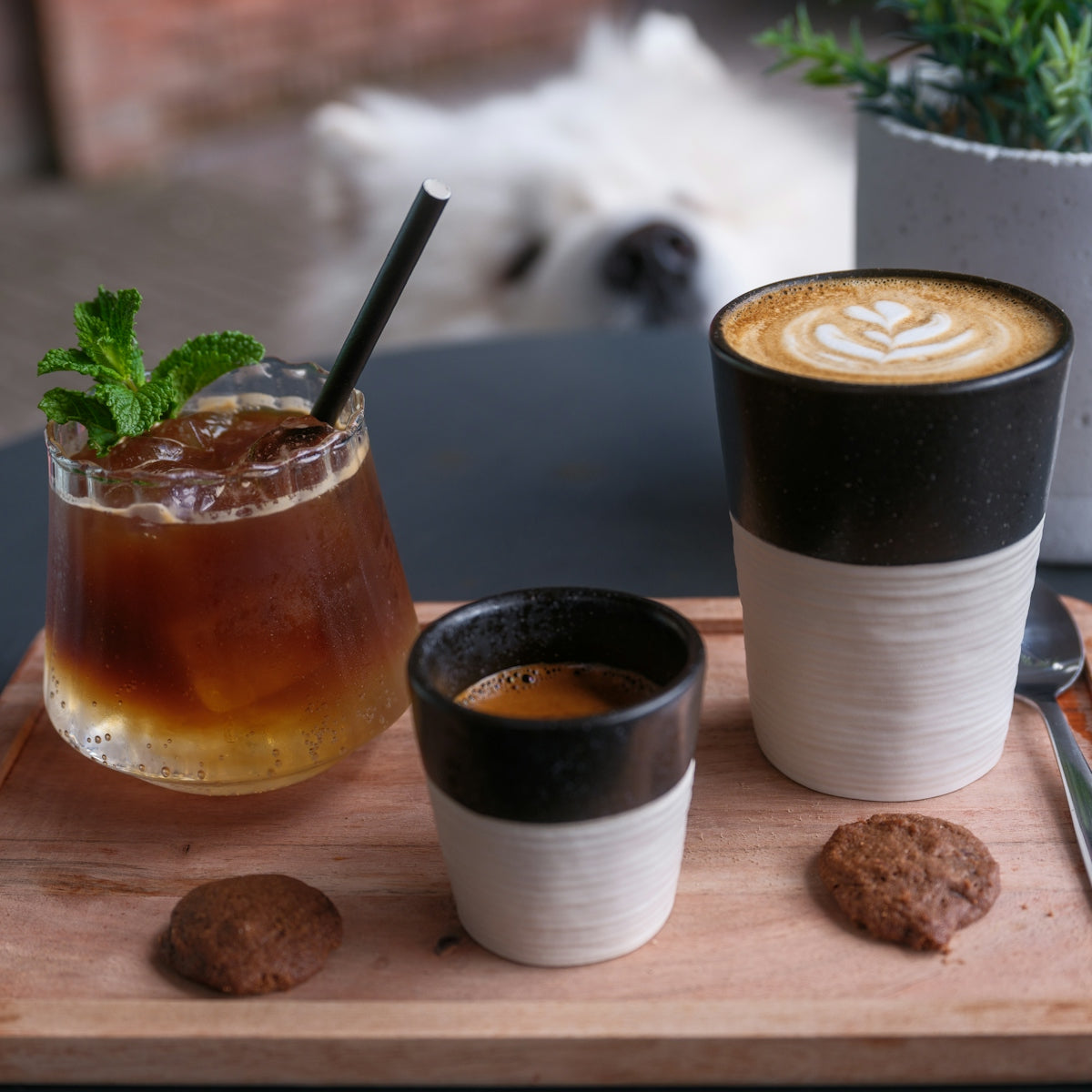Coffee drinks and cookies with dog in background