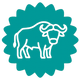 Büffel
