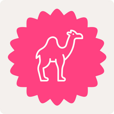Symbol eines Kamels auf pinkem Hintergrund für Kamel Kauartikel für Hunde