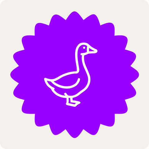 Violetfarbige Grafik einer Gans für Gänse Hundeleckerlis von Lucky Heaven Ranch.