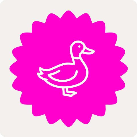 Icon eines Entenzeichens für unsere Enten Leckerlis für Hunde von Lucky Heaven Ranch.