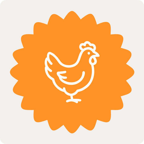 Symbol einer Henne auf orangefarbenem Hintergrund, passend für hundeleckerlis aus geflügel.