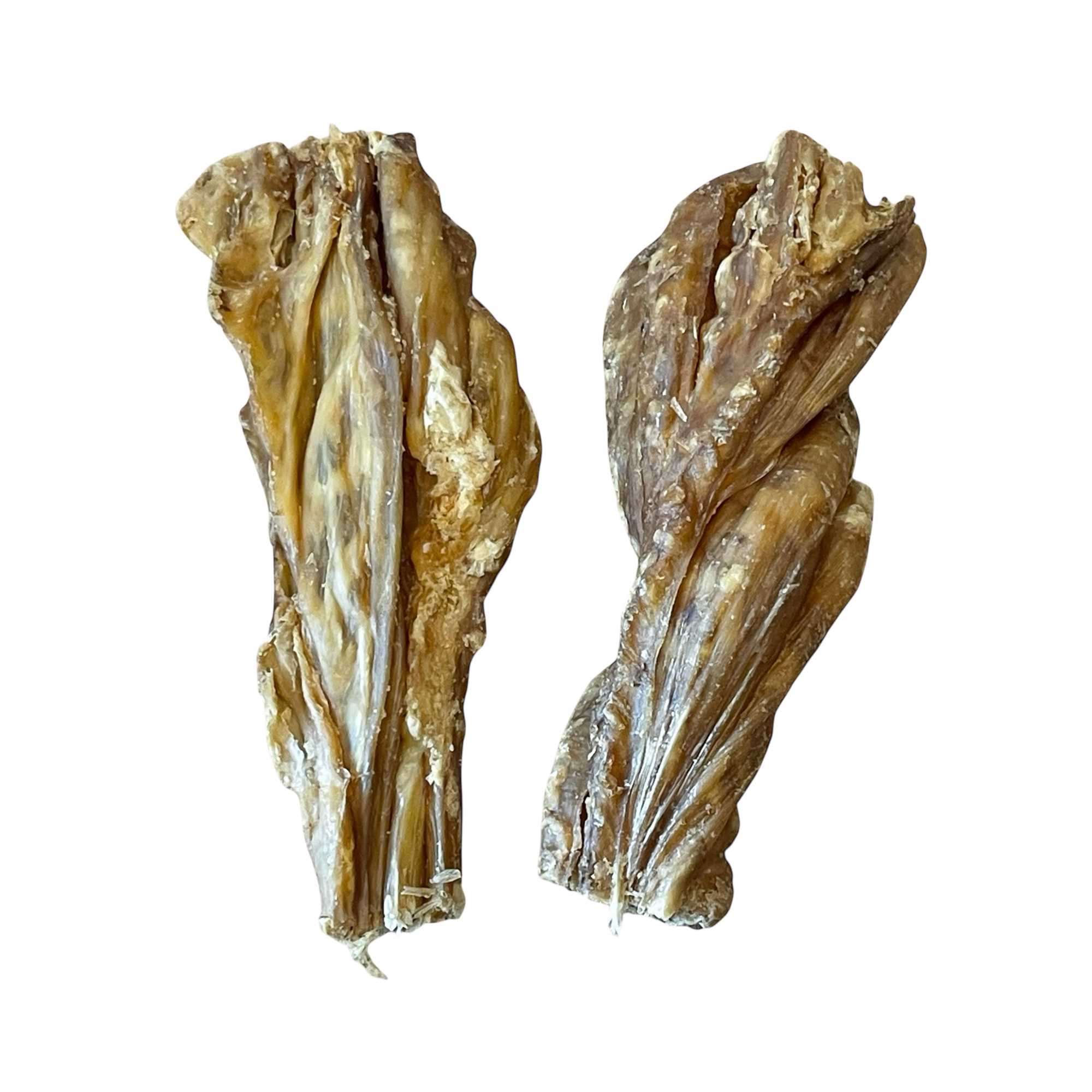 Pferde-Magen