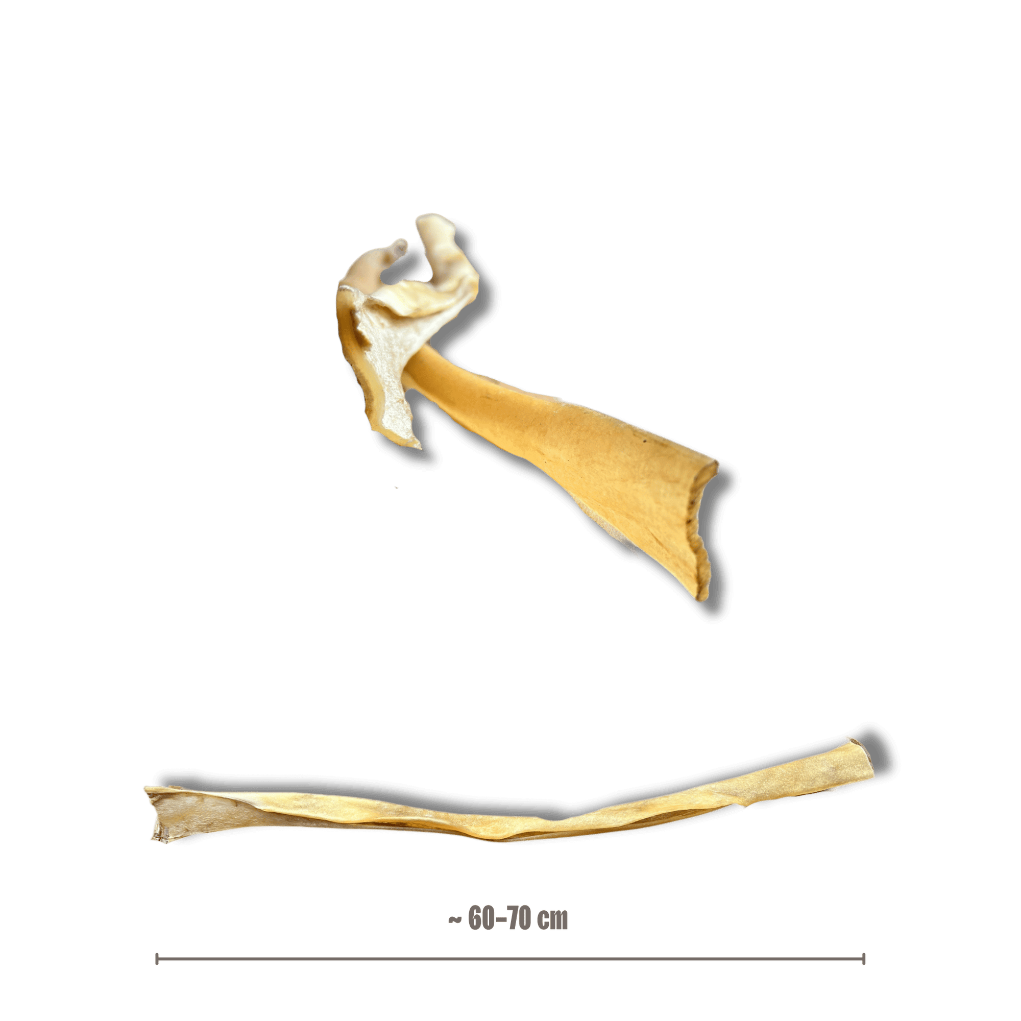 Büffelhaut Kaustange mit maßangaben Hunde-Kauartikel