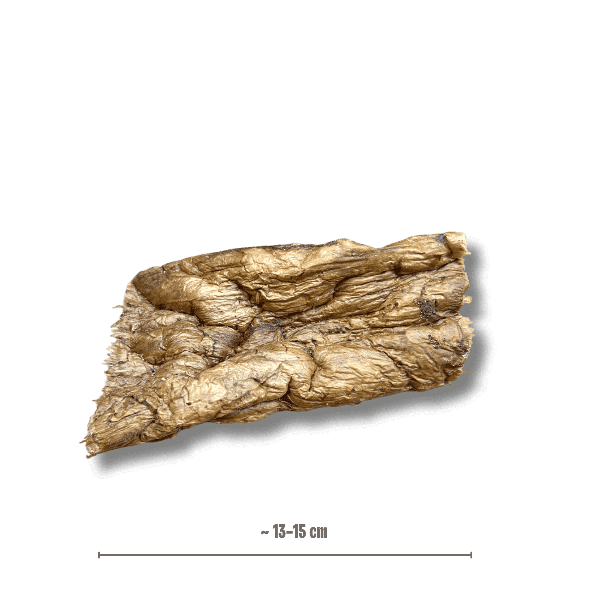 Büffellunge für Hunde mit Grösenangabe 13-15 cm 