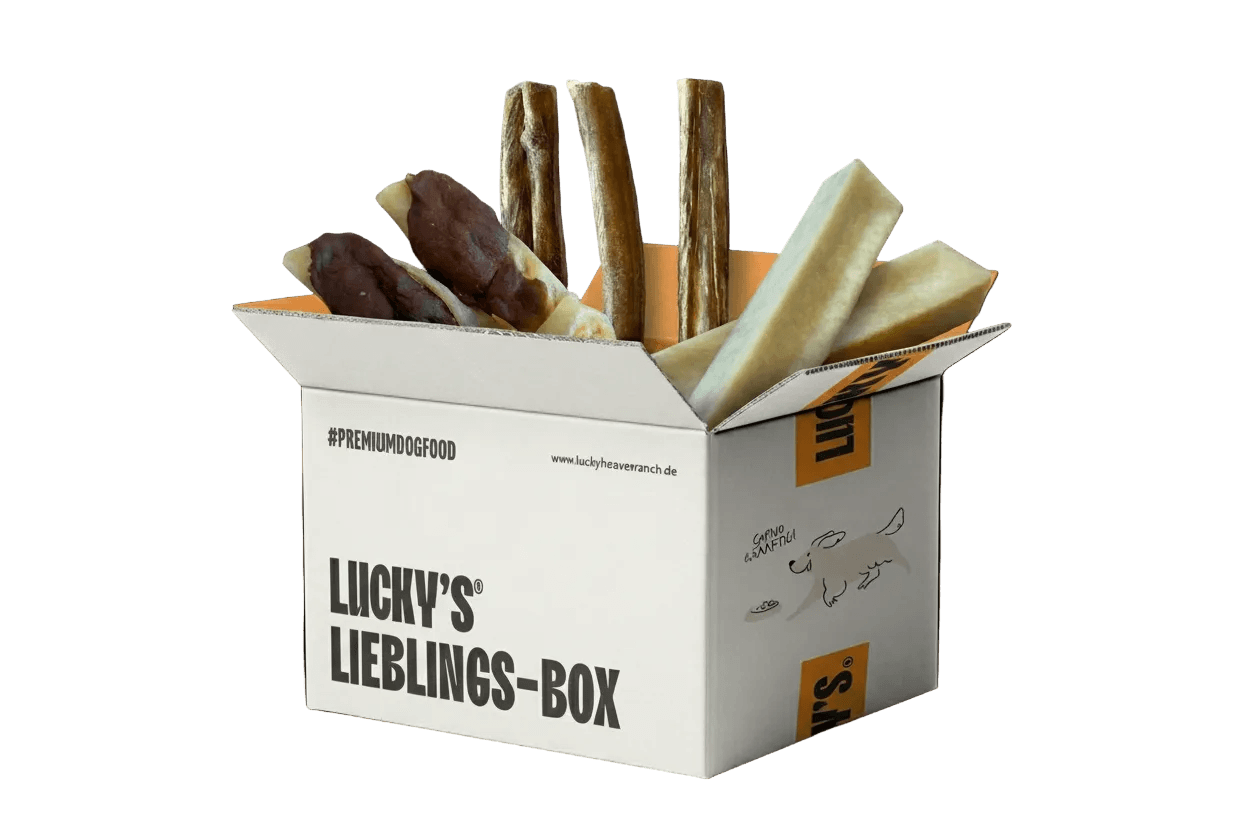 Bestseller-Kauartikel-Bundle XL – Das ultimative Hunde Kauartikel Set!