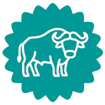 büffelleckerli