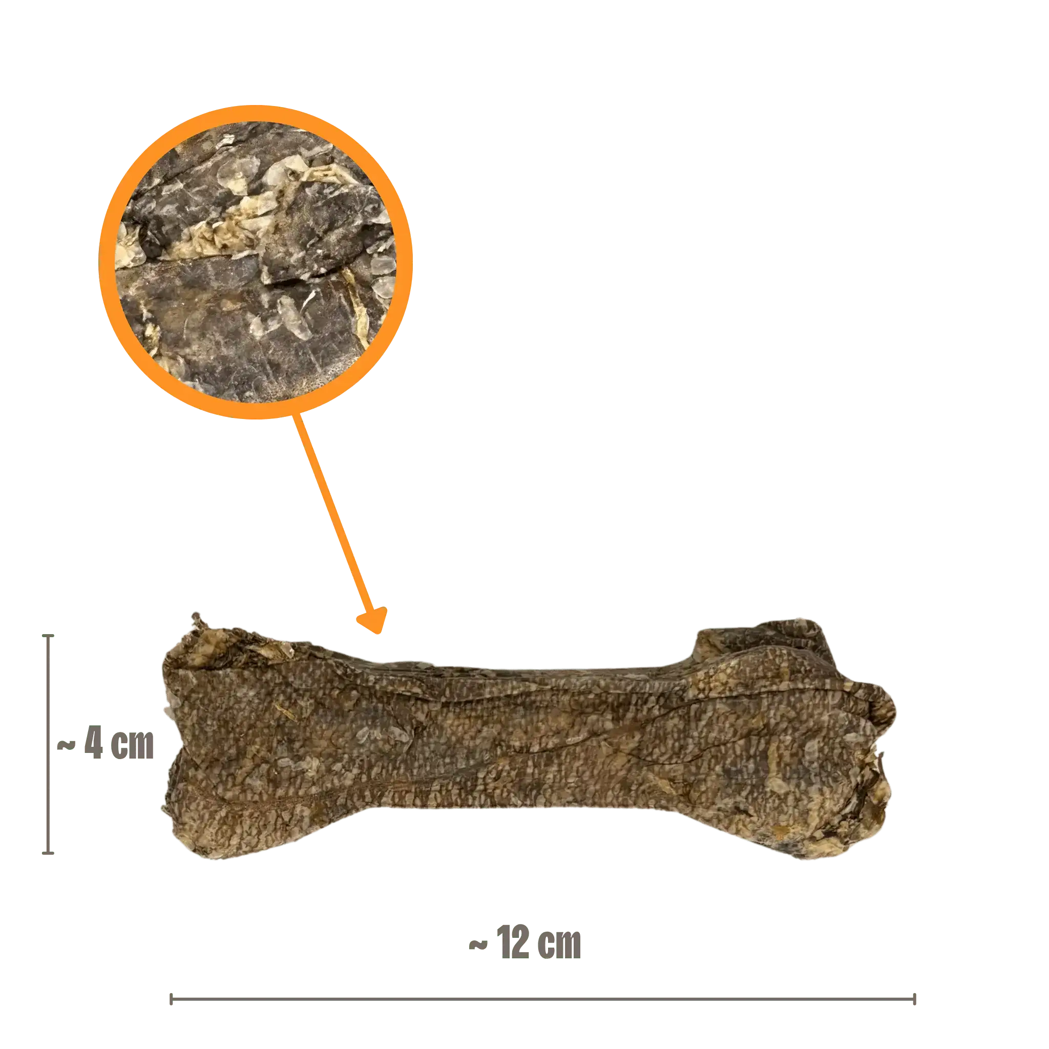 Ein einzelner Dorschhaut Kauknochen (12 cm) in der Ansicht mit Größenangabe.