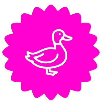Enten Kauartikel für Hunde und Hundeleckerli der Lucky Heaven Ranch