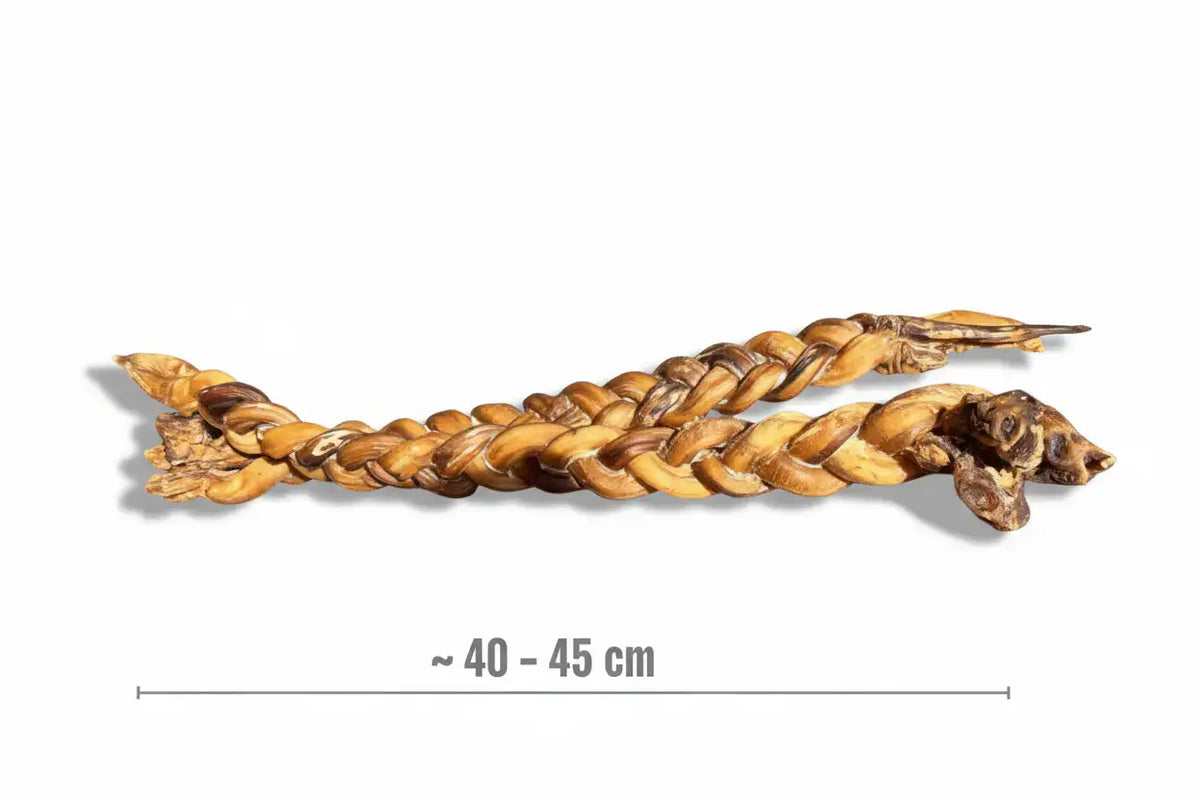 Produktansicht eines geflochtenen Ochsenziemer für Hunde mit einer eingeblendeten Längenangabe von ca. 40 bis 45 cm. Der robuste Kauartikel für Hunde liegt horizontal und zeigt die Größe für mittlere bis große Hunde.