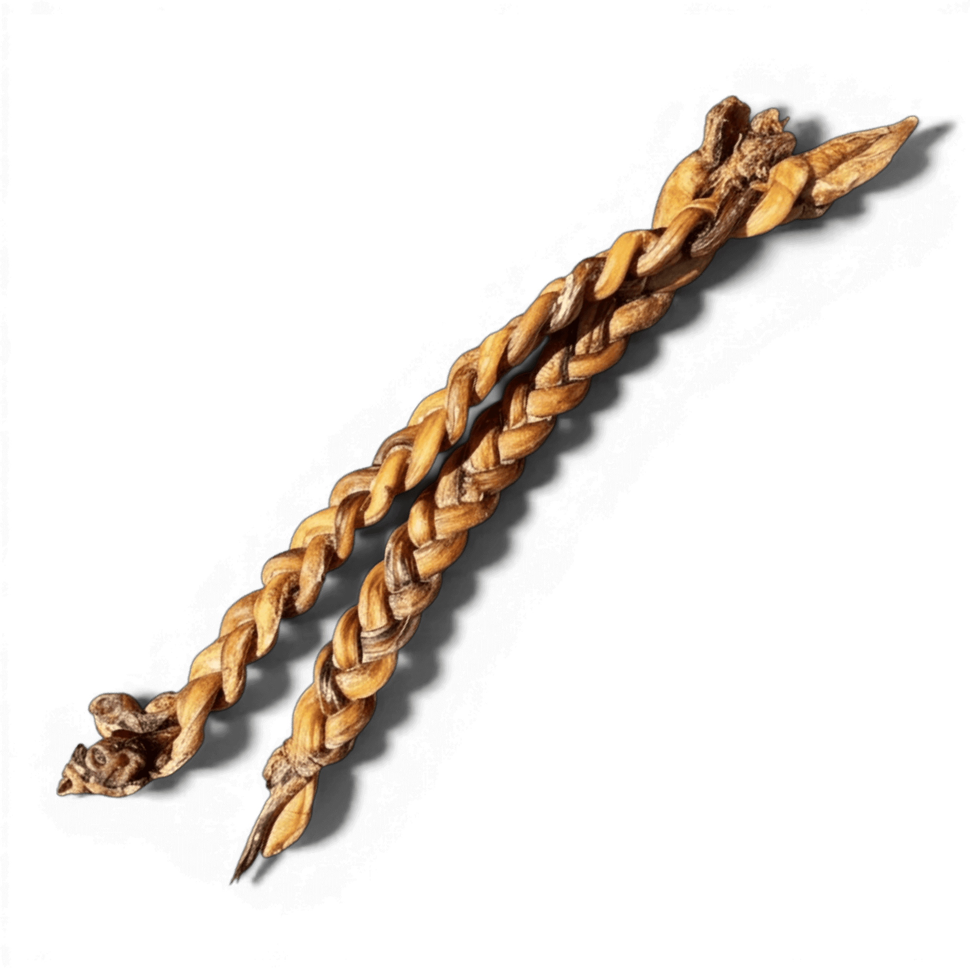 Zwei geflochtene Ochsenziemer-Kausnacks für Hunde in einer Nahaufnahme vor weißem Hintergrund. Die natürliche Textur und die feste Flechtung des getrockneten Naturkauartikels sind deutlich sichtbar.