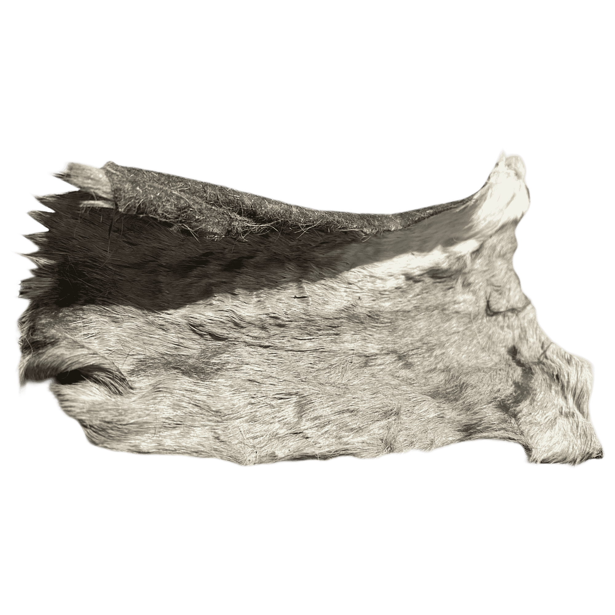 Pferdehautplatte mit Fell – hochwertiger Natur-Kauartikel für Hunde, proteinreich und frei von künstlichen Zusätzen.