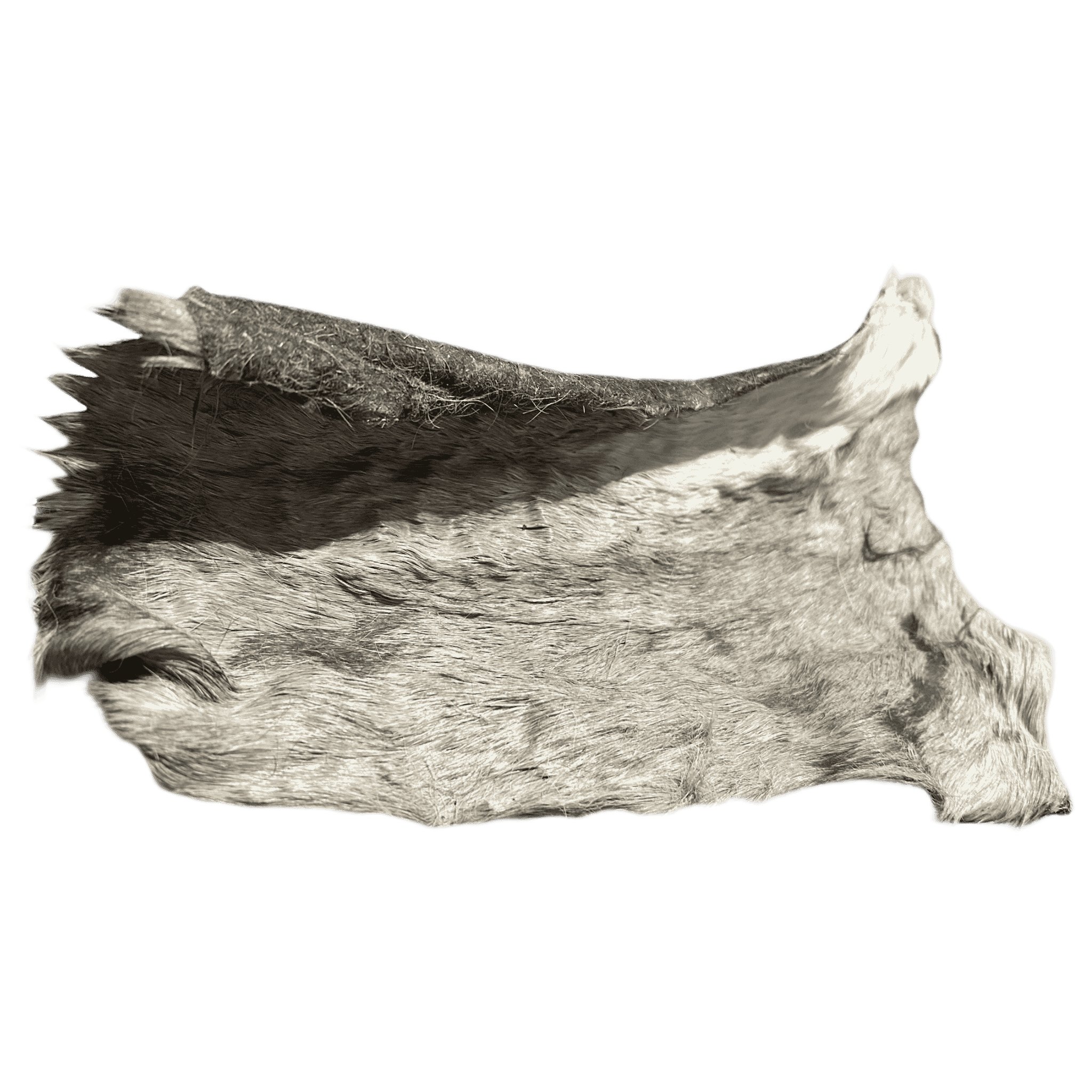 Pferdehautplatte mit Fell – hochwertiger Natur-Kauartikel für Hunde, proteinreich und frei von künstlichen Zusätzen.