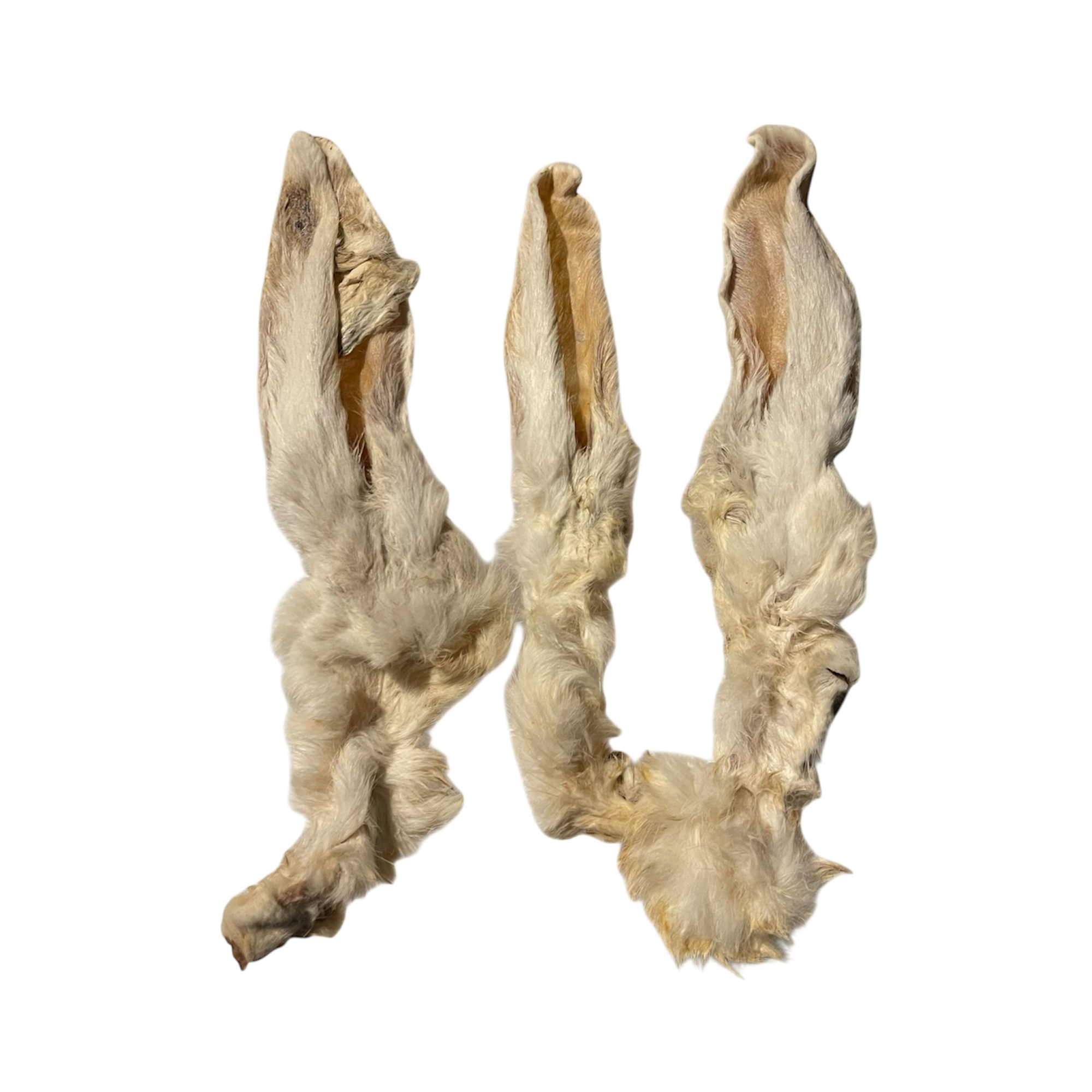 Kaninchen Ohren mit Fell