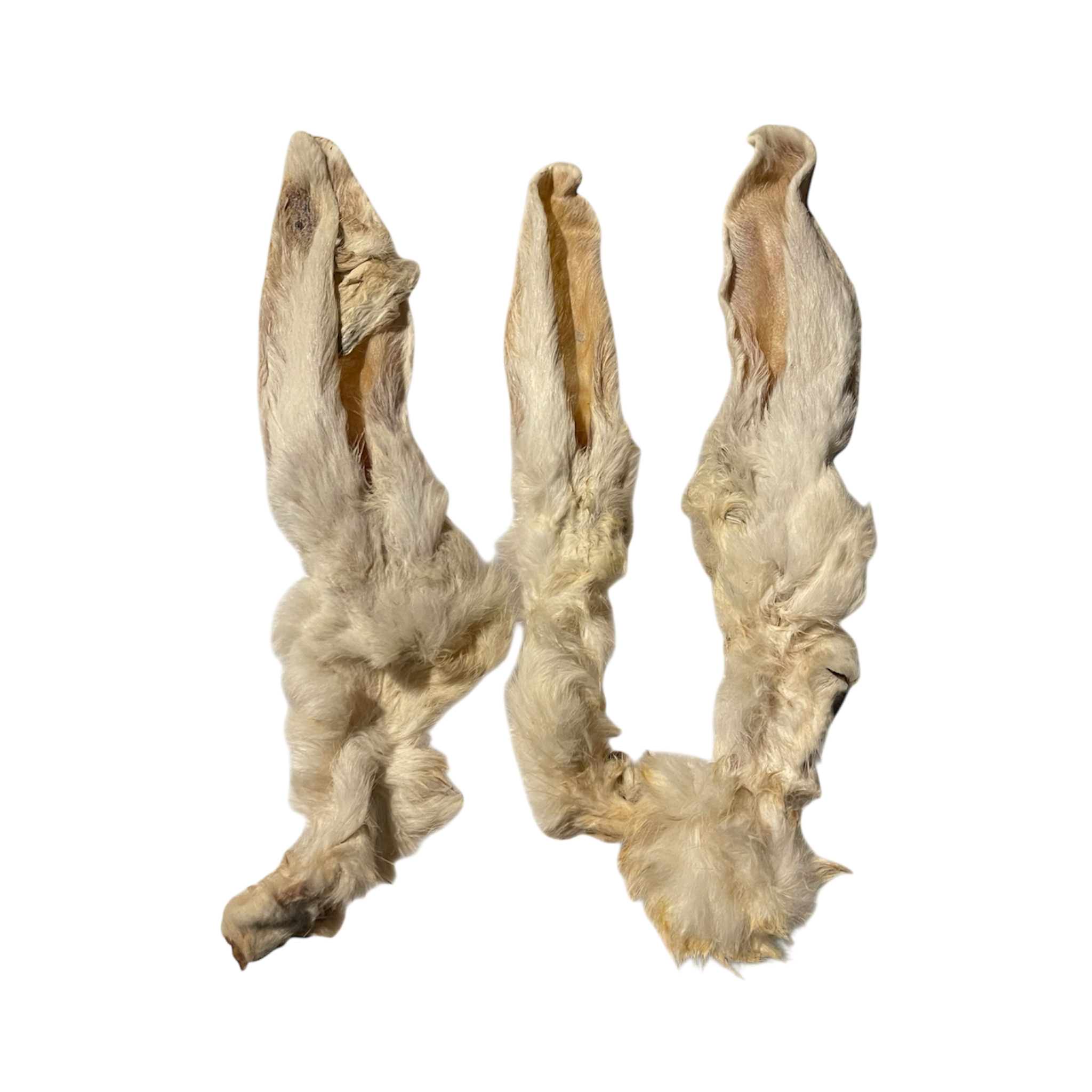 Kaninchen Ohren mit Fell