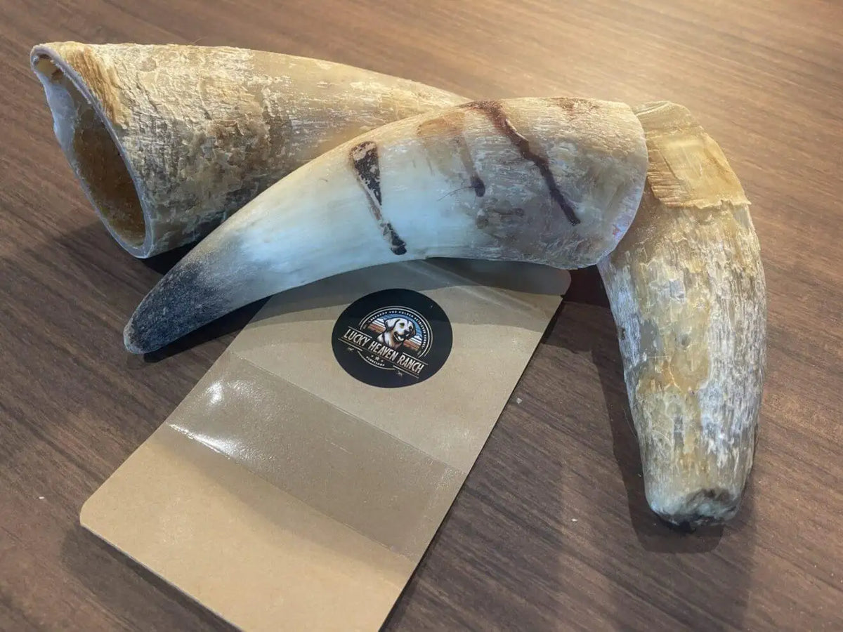Rinderhorn XXL Natur-Kauartikel für Hunde auf einem Tisch, ideal für Zahngesundheit und Genuss.