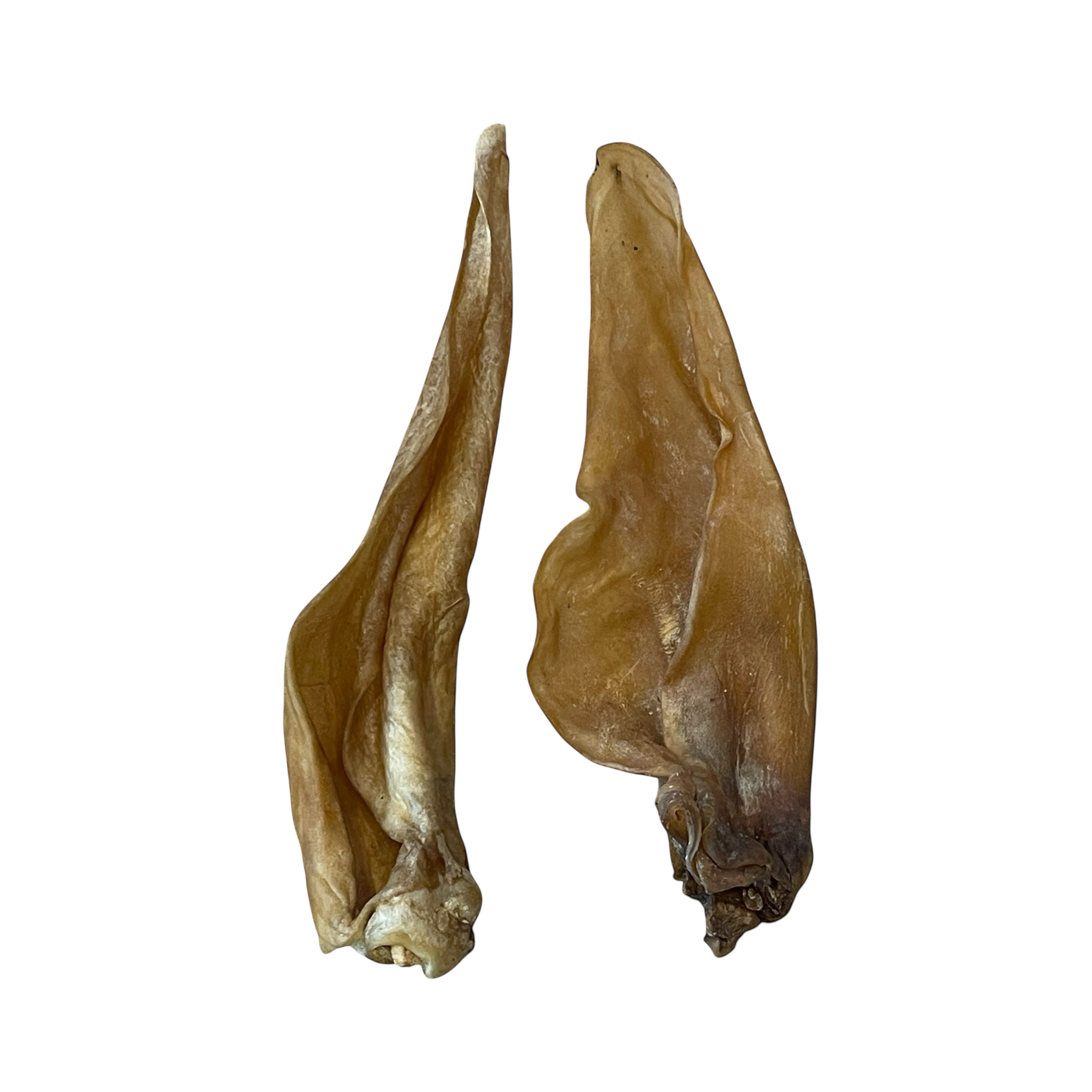 Pferde-Ohren
