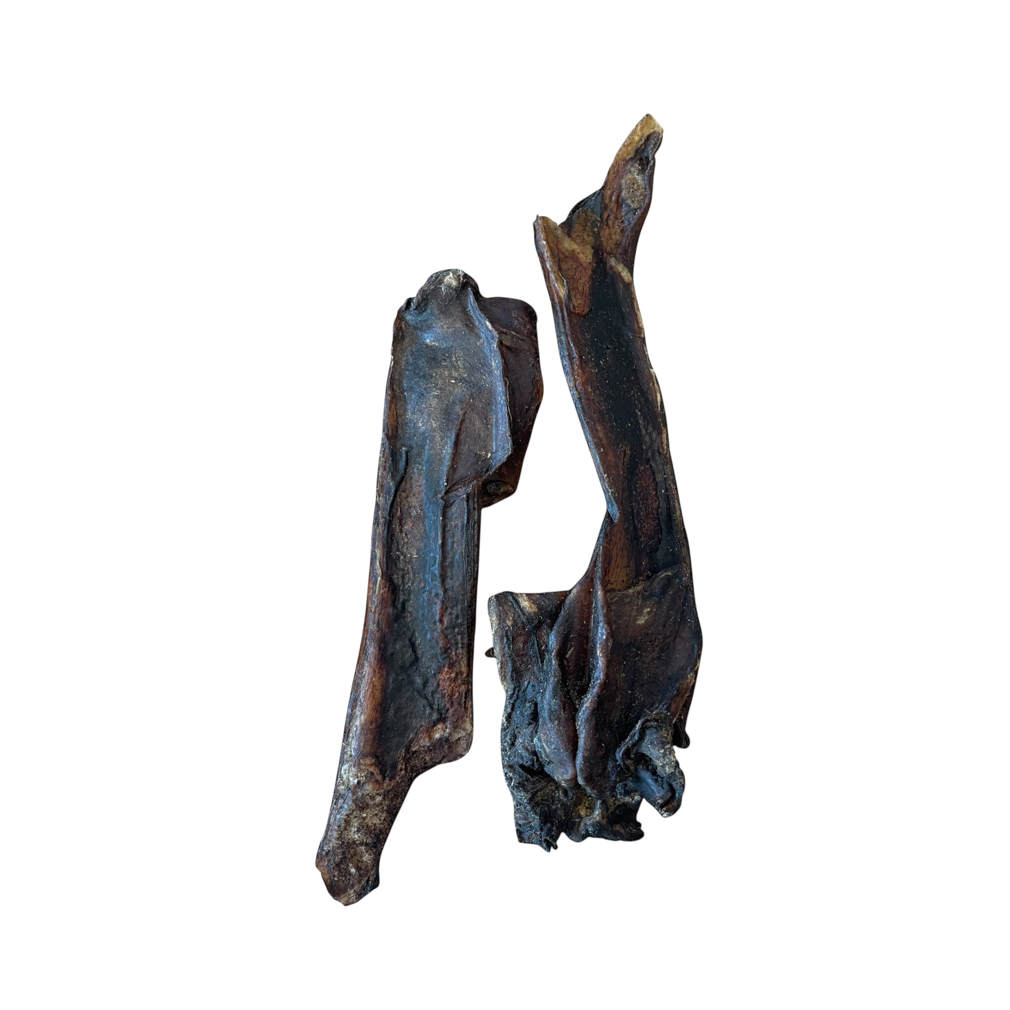 Pferde-Nasenknochen