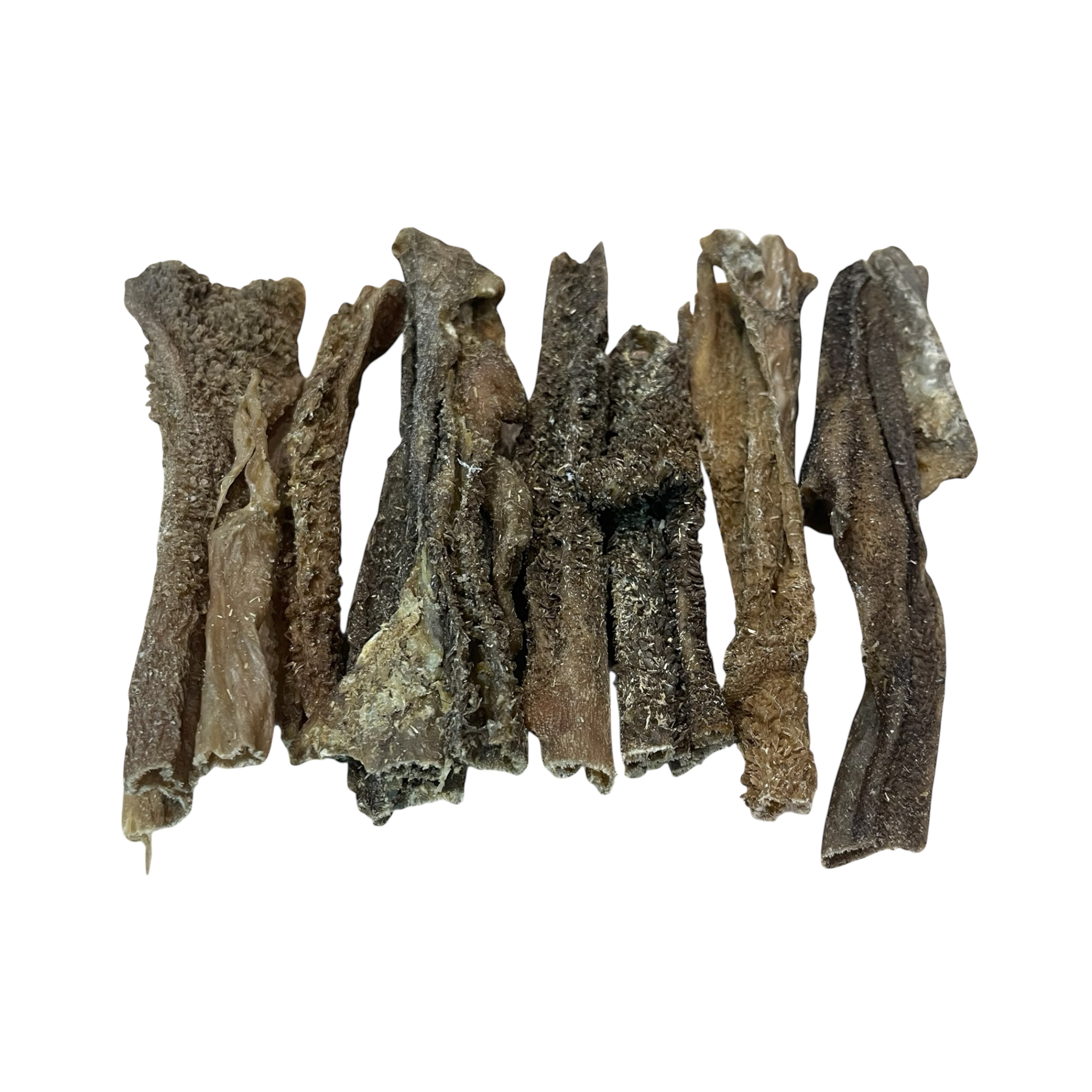 Lamm-pansen