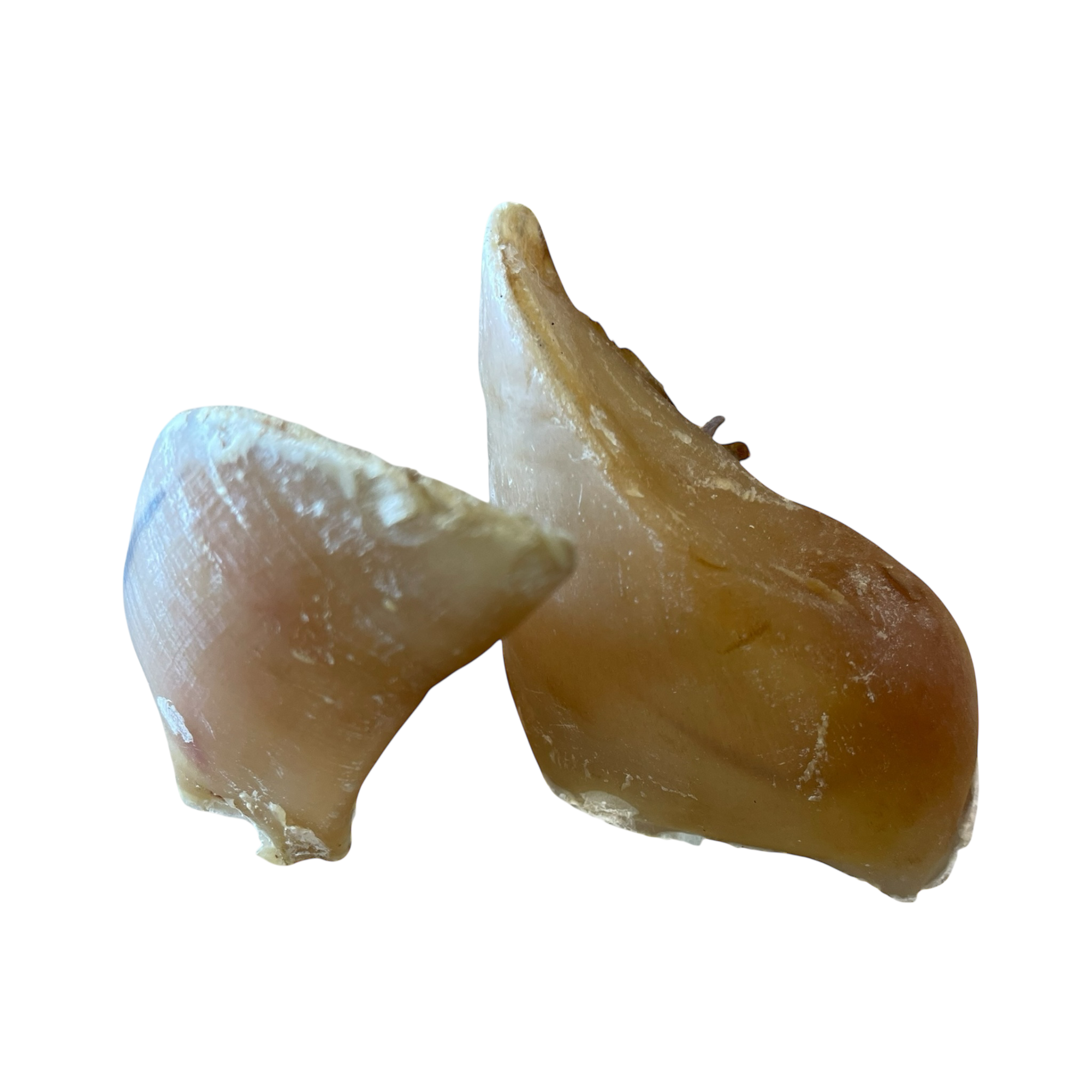 Kalbshufe