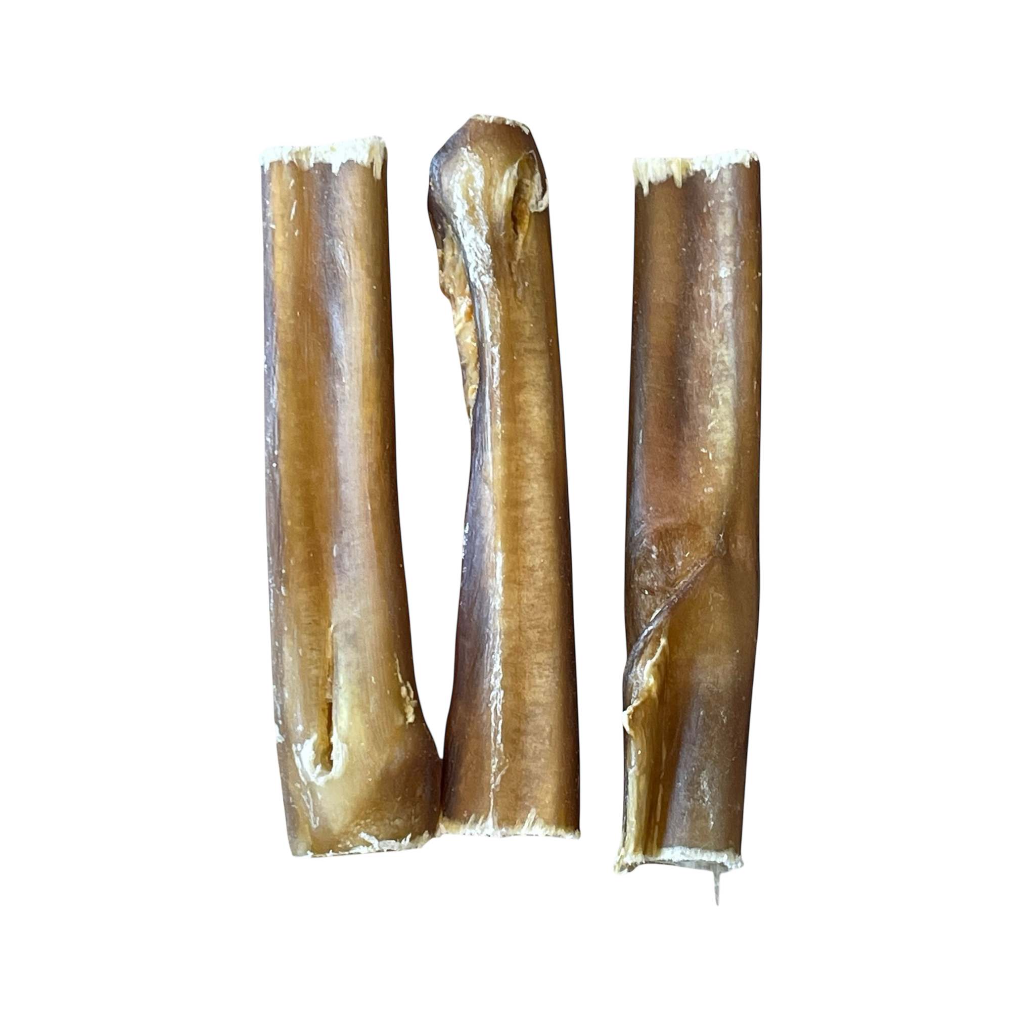 Ochsen-ziemer 12cm