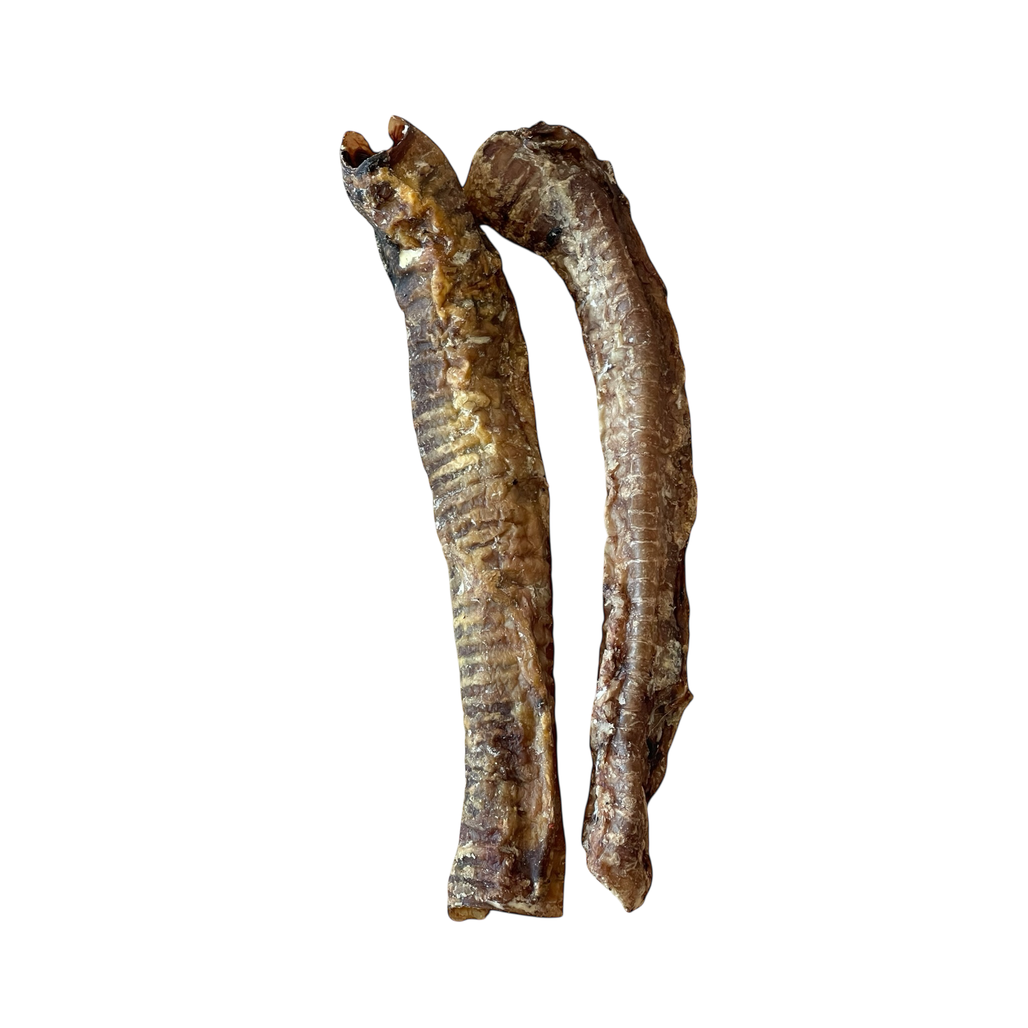 Lamm-Strossen