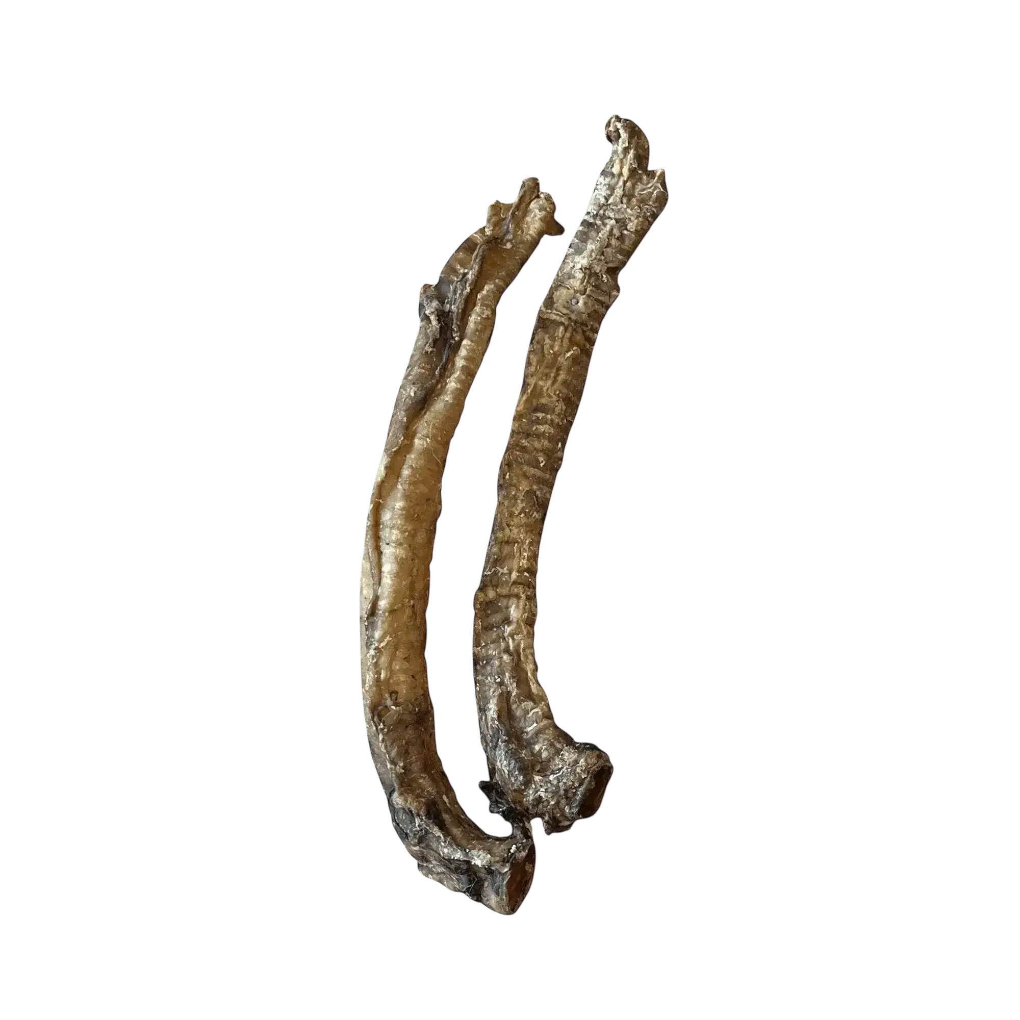 Ziegenstrossen – natürliche Leckereien für Hunde zum Kauen und Genießen.