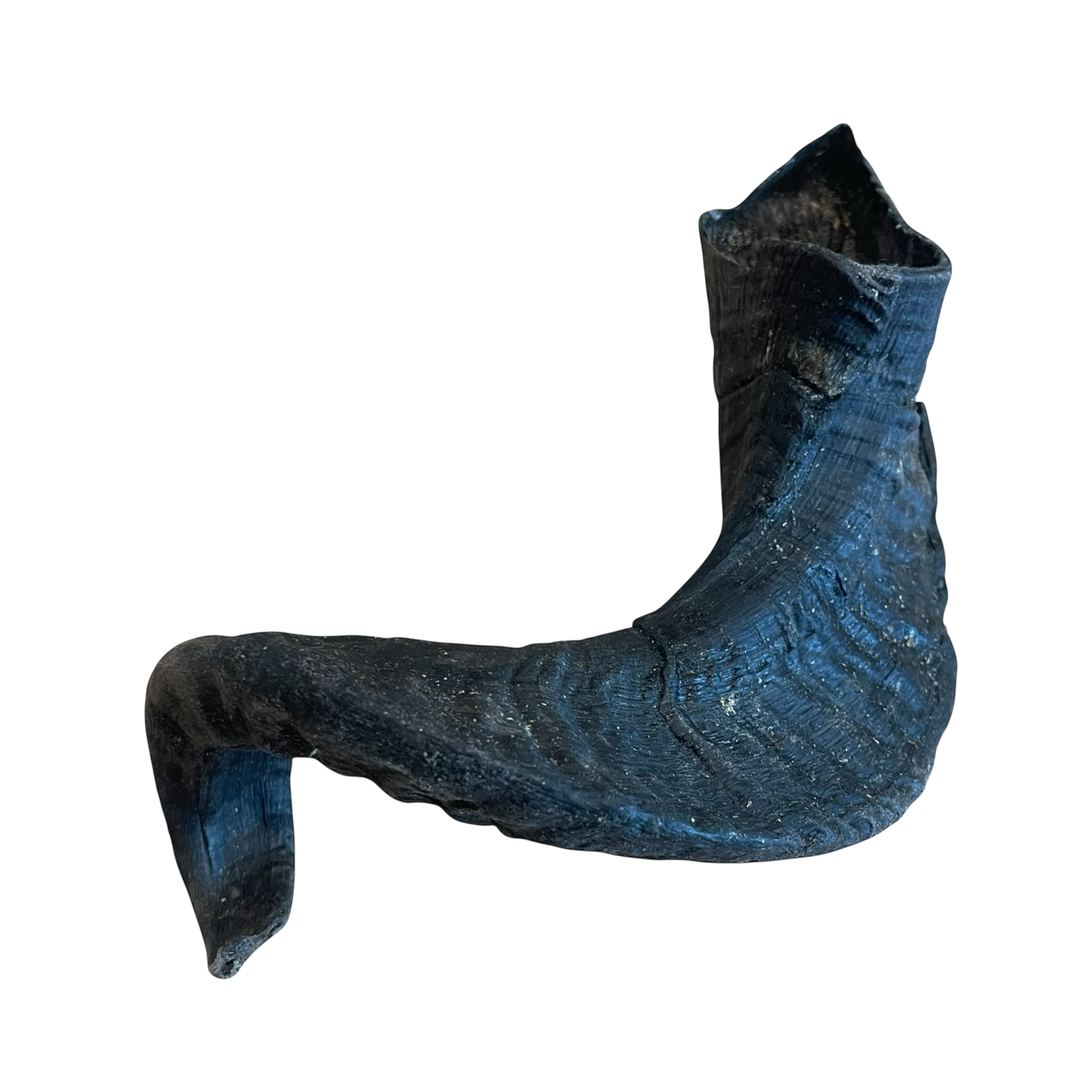 Lamm Horn M