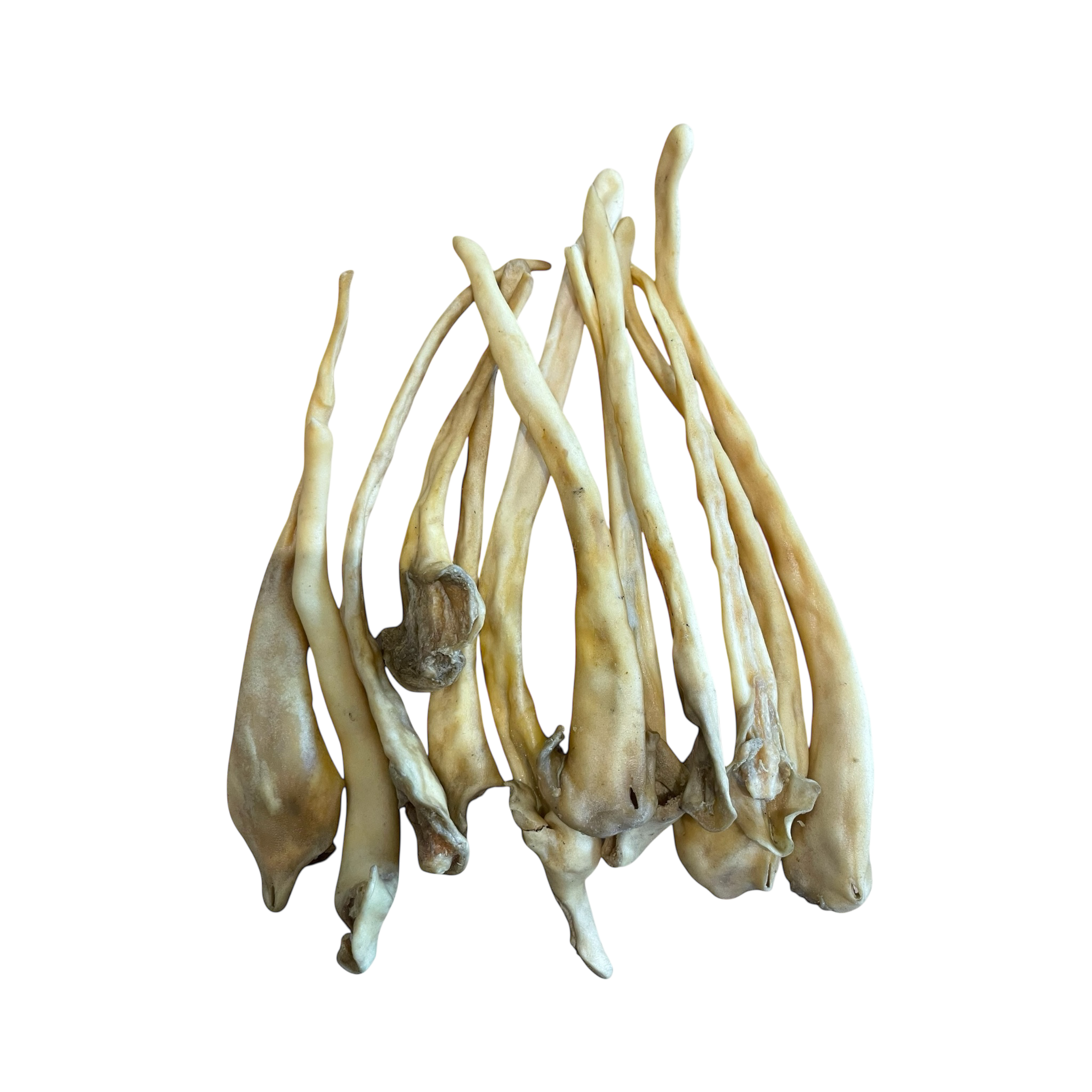 Lammschwänze